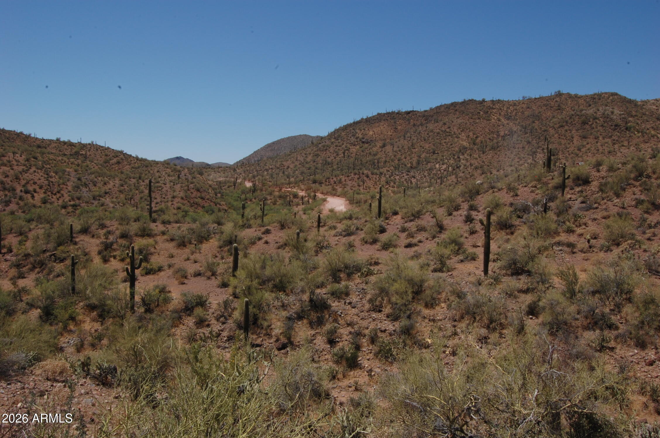 Pleasant Country Ranches - Land
