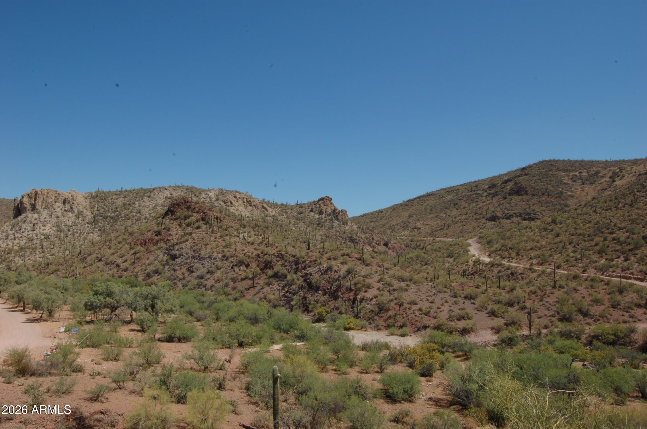 Pleasant Country Ranches - Land