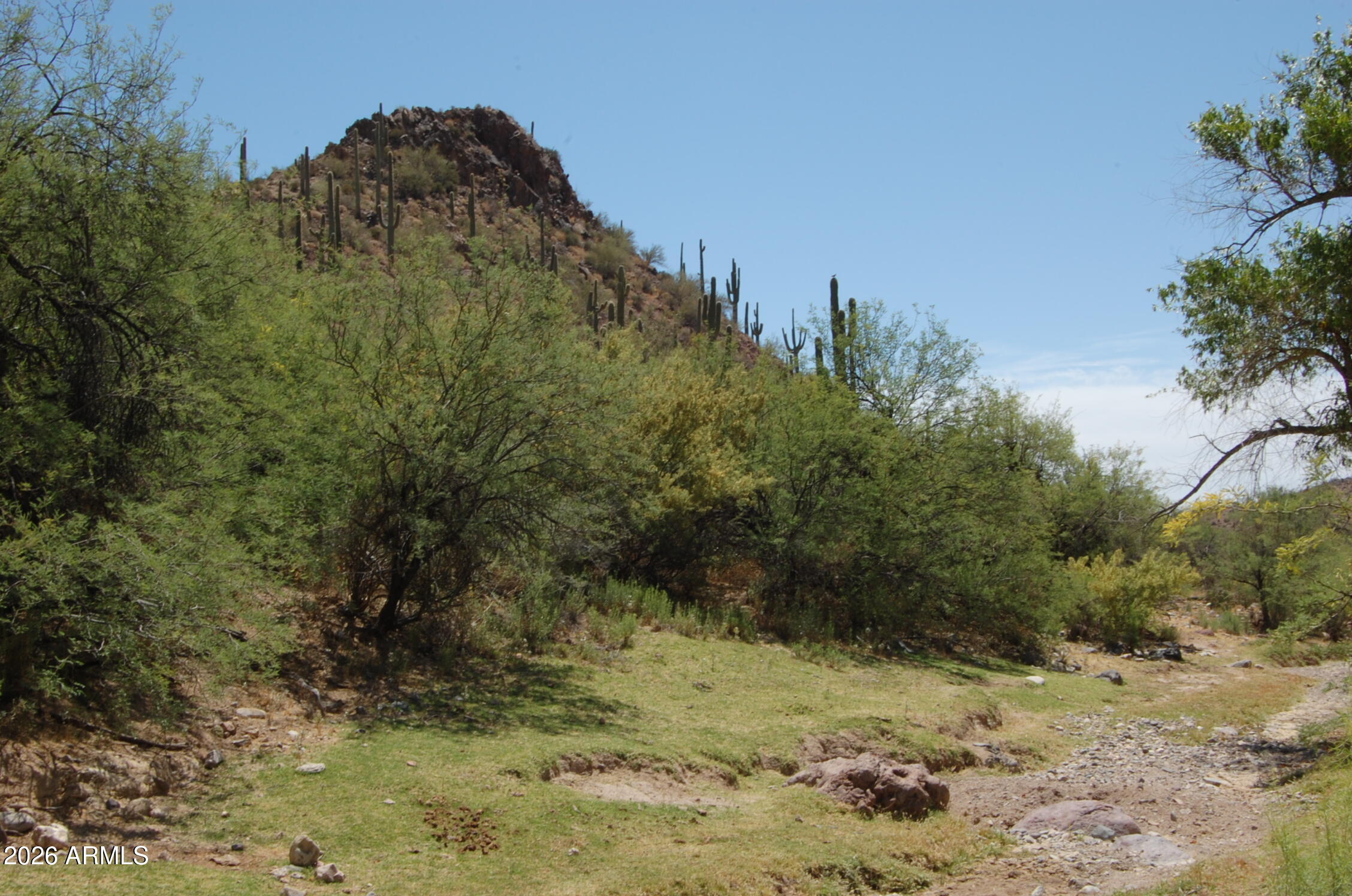 Pleasant Country Ranches - Land