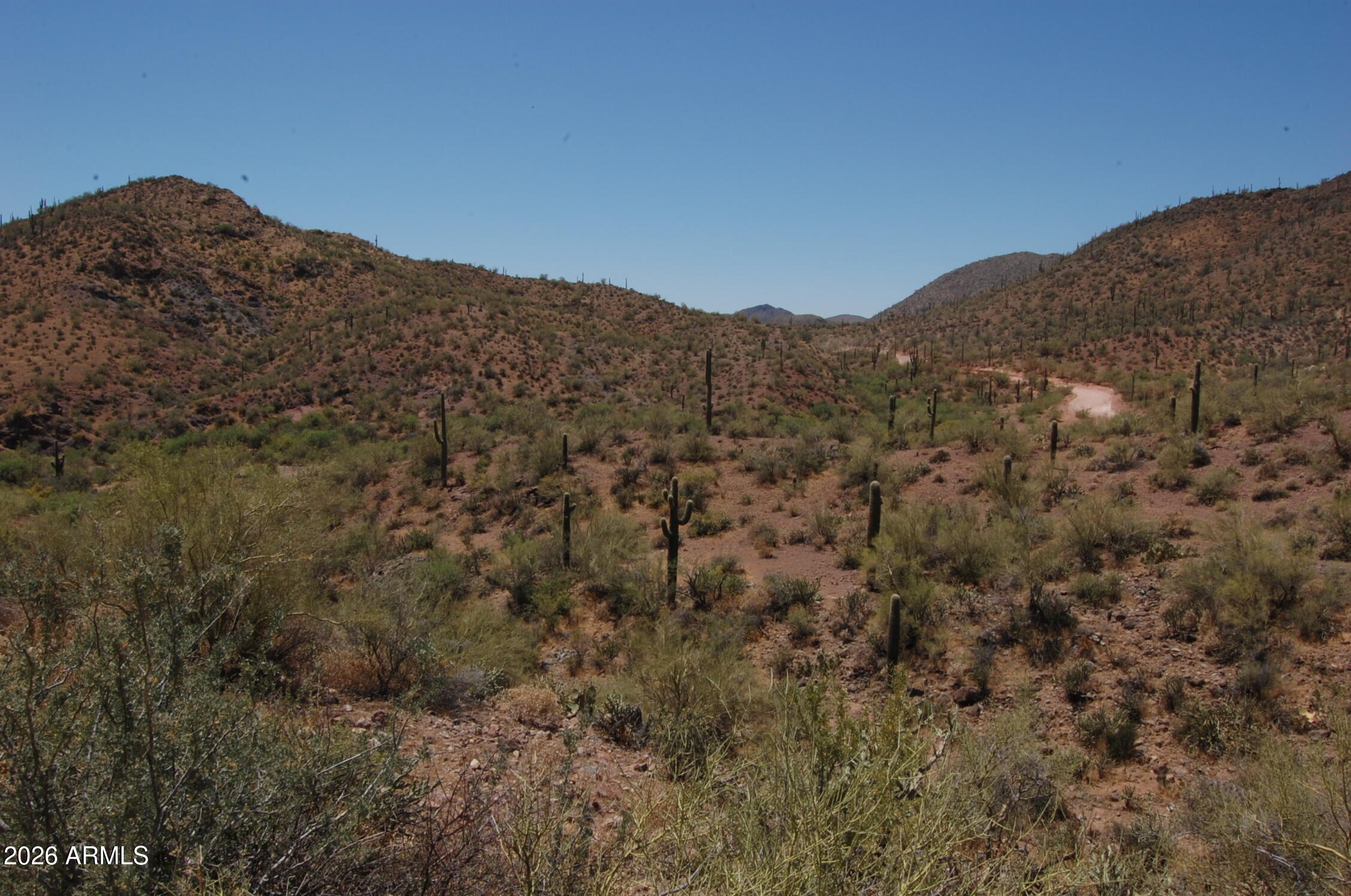 Pleasant Country Ranches - Land