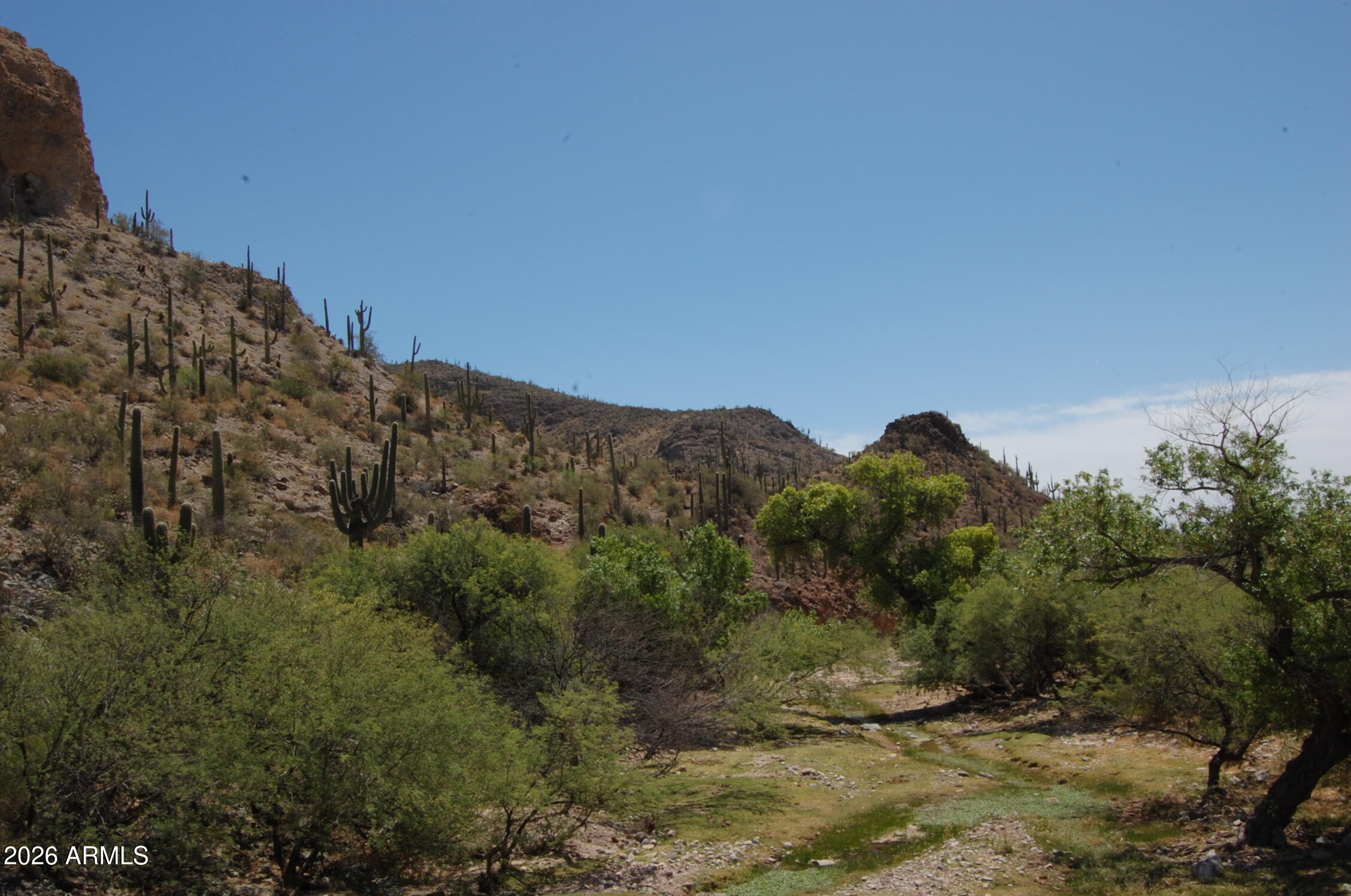 Pleasant Country Ranches - Land