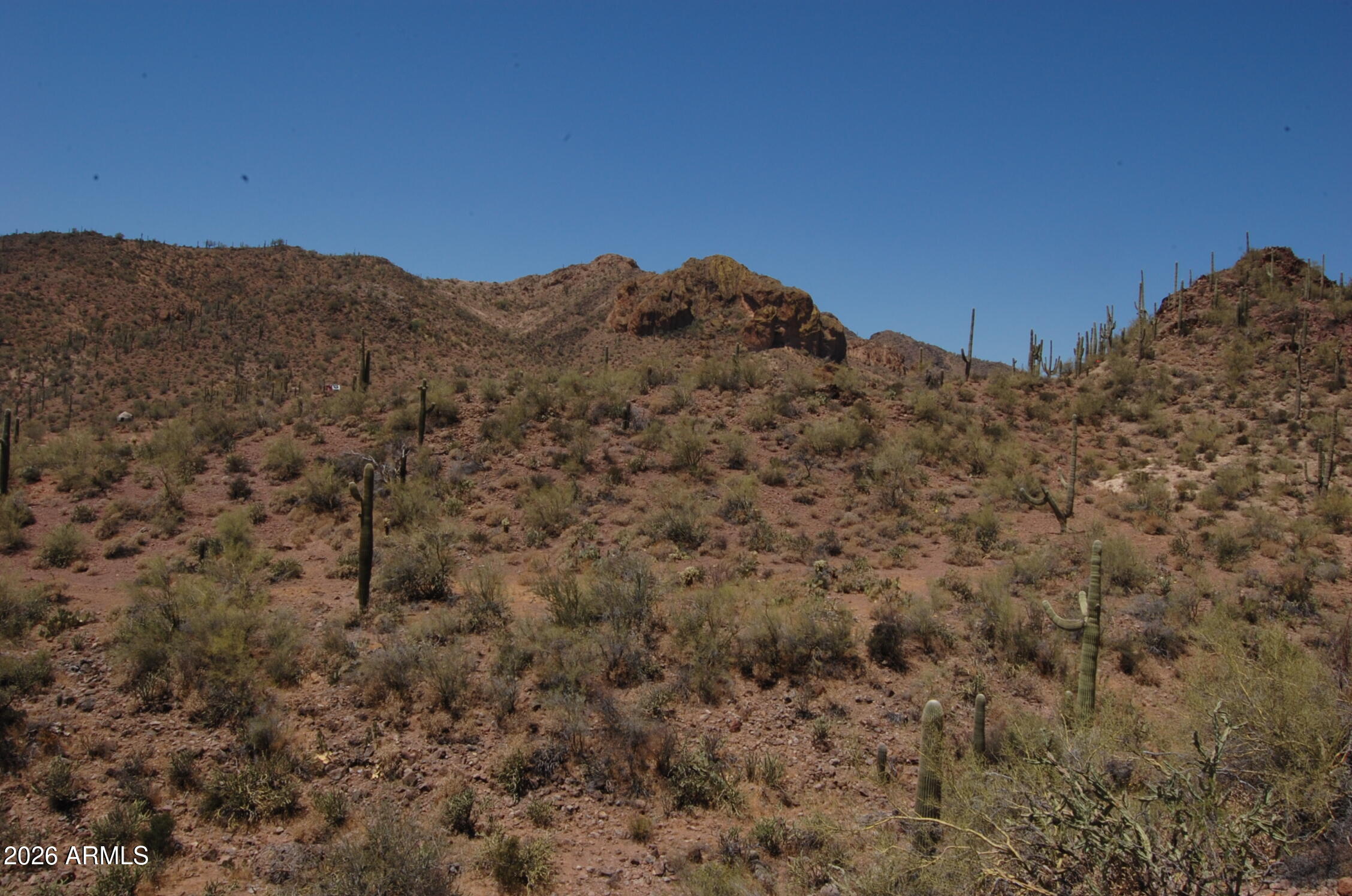 Pleasant Country Ranches - Land