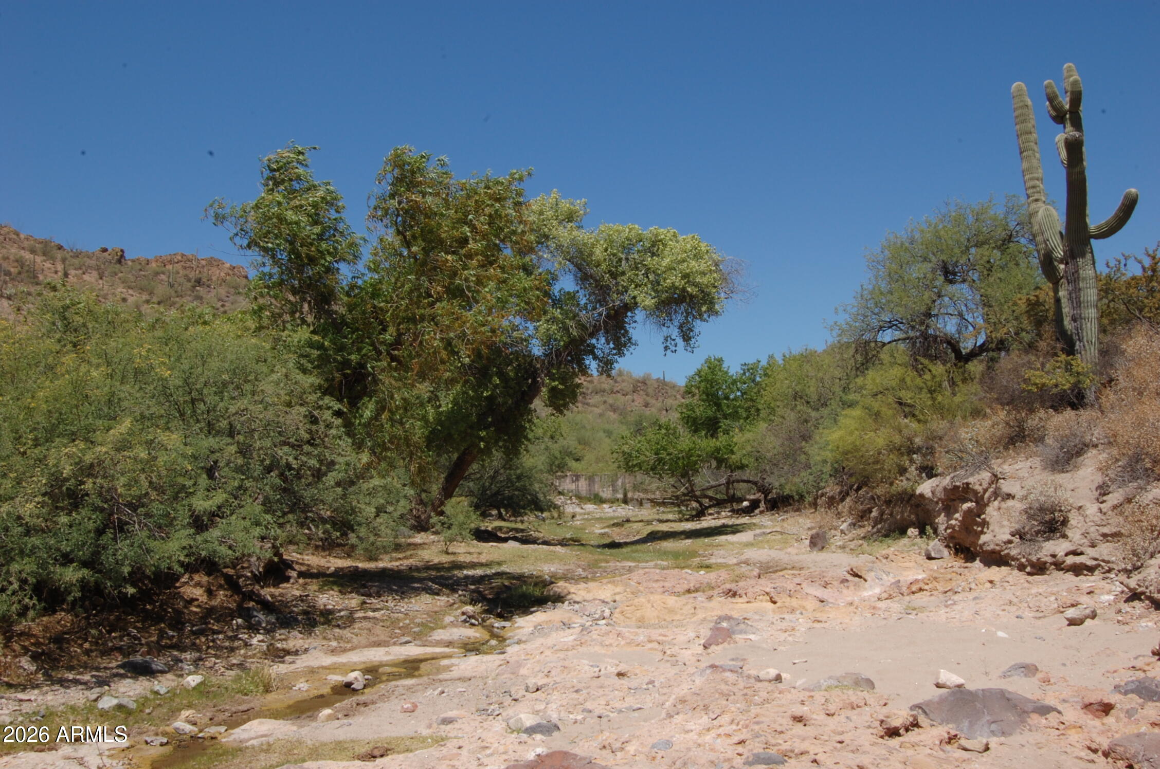 Pleasant Country Ranches - Land
