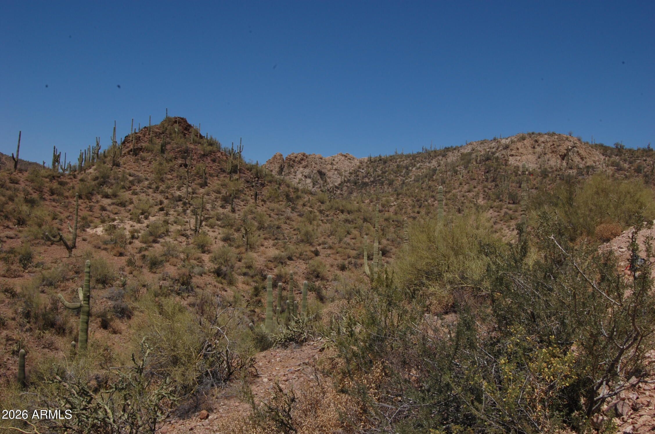 Pleasant Country Ranches - Land