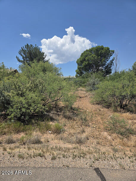 VERDE VILLAGE UNIT 2 - Land