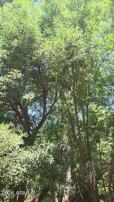 VERDE VILLAGE UNIT 2 - Land