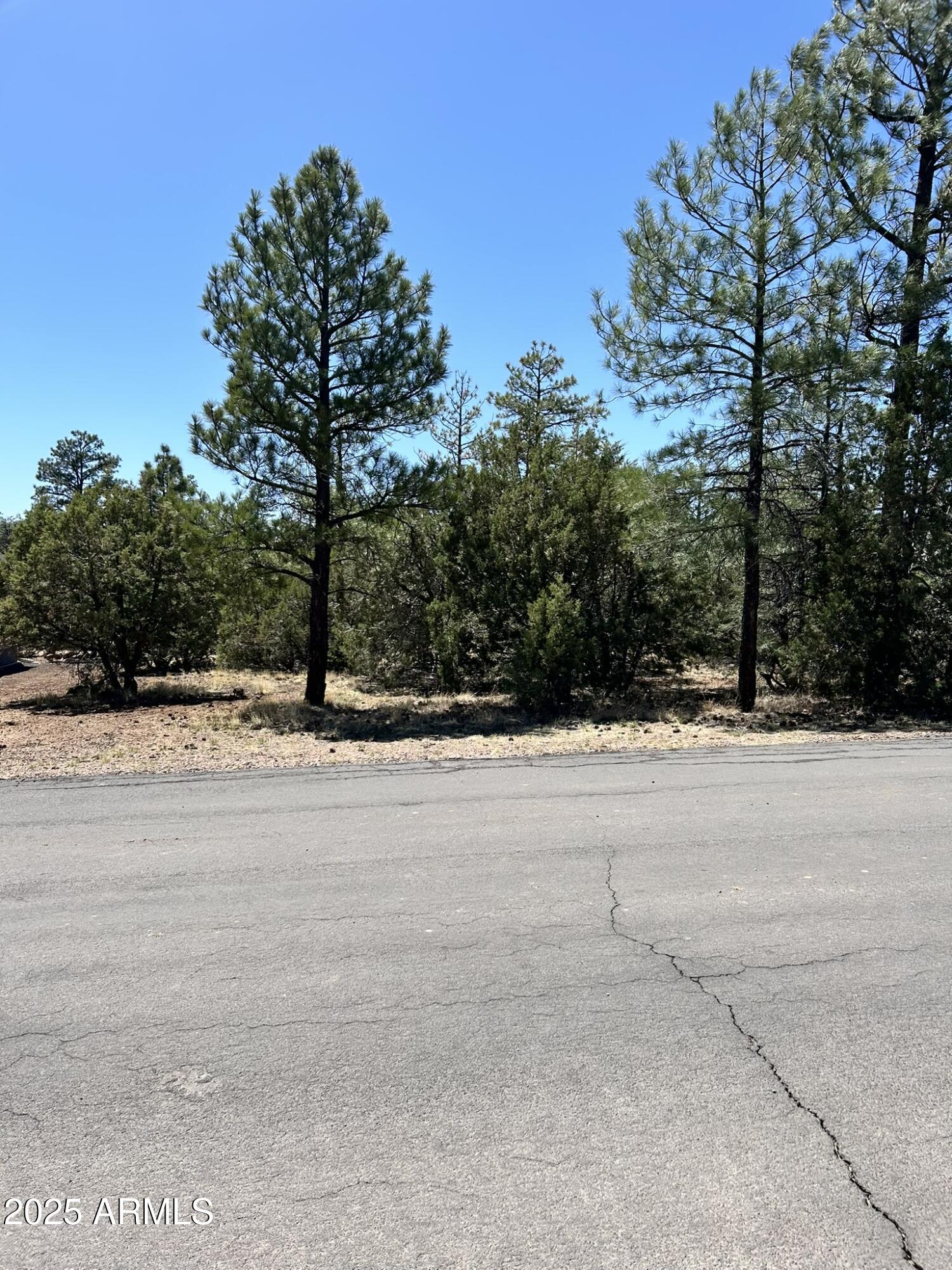 WOLF PINES UNIT 2 - Land