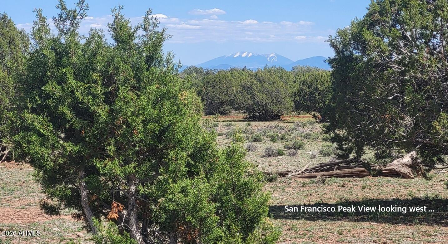 Westwood Ranches - Land