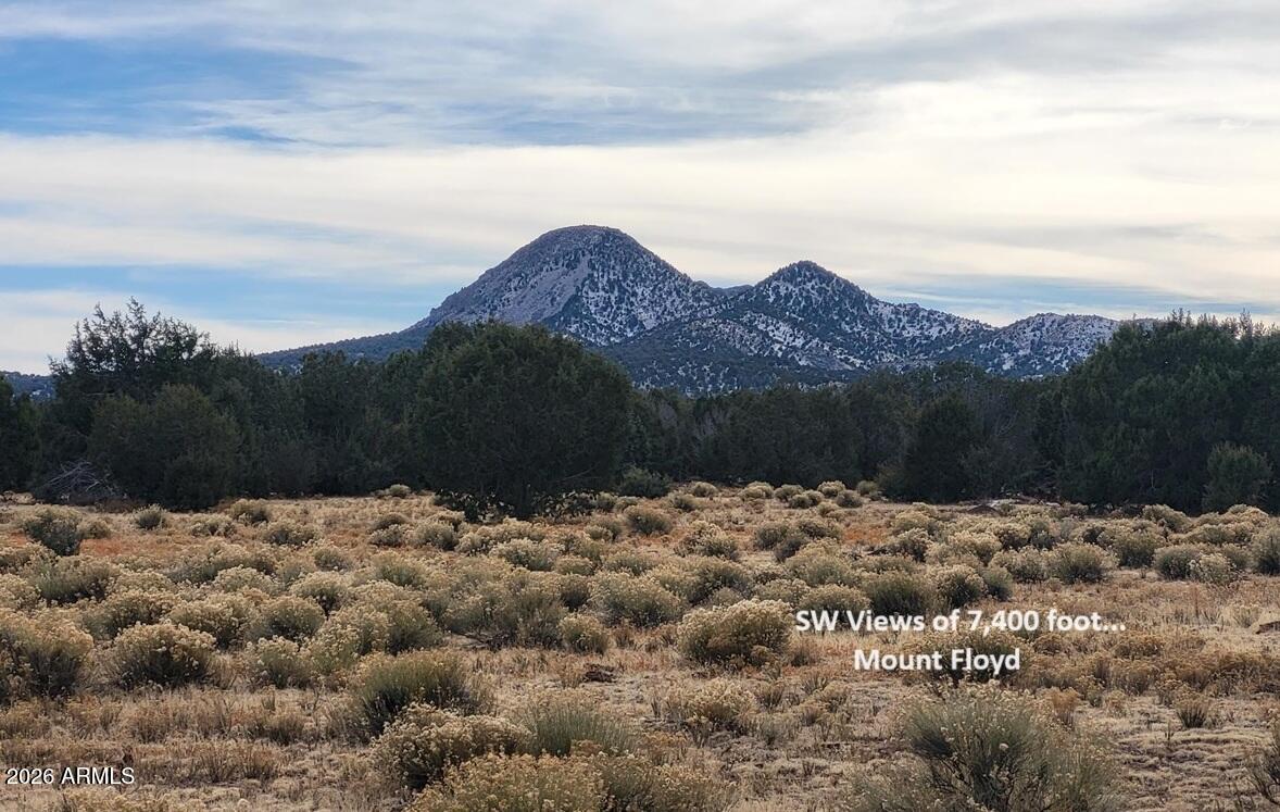If you want a nice level Off Grid ranch or farm property this is it. Trifecta Views - Mount Floyd Views to the South , Round Mountain Views to the North., and San Francisco Peaks to the west ! Beautiful meadow surrounded by juniper. Located in the middle of elk and deer country. Can't say enough about the views ! Easy access right off Ranch Rd. Seller looking for cash. Come build that Cabin with wrap around porches, camp and or ATV over the 140 miles of back country roads.