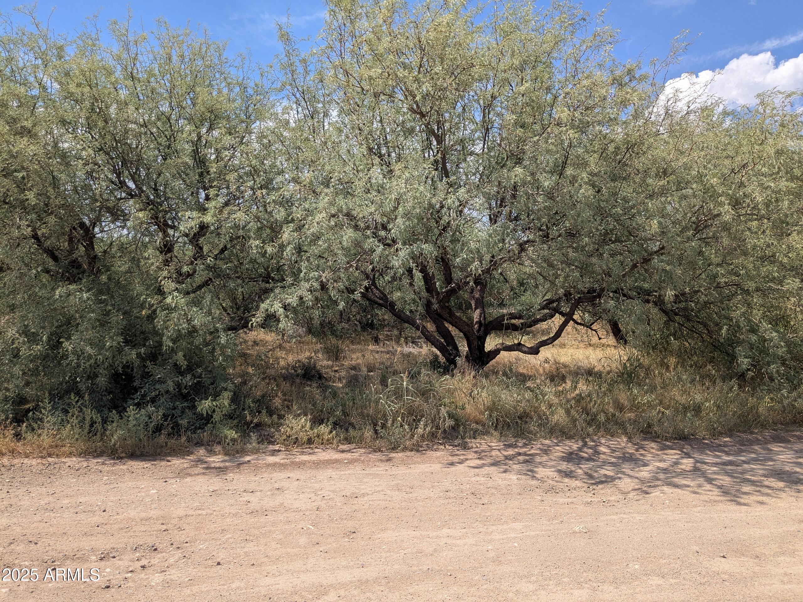 LAKE MONTEZUMA ESTATES UNIT 1 - Land