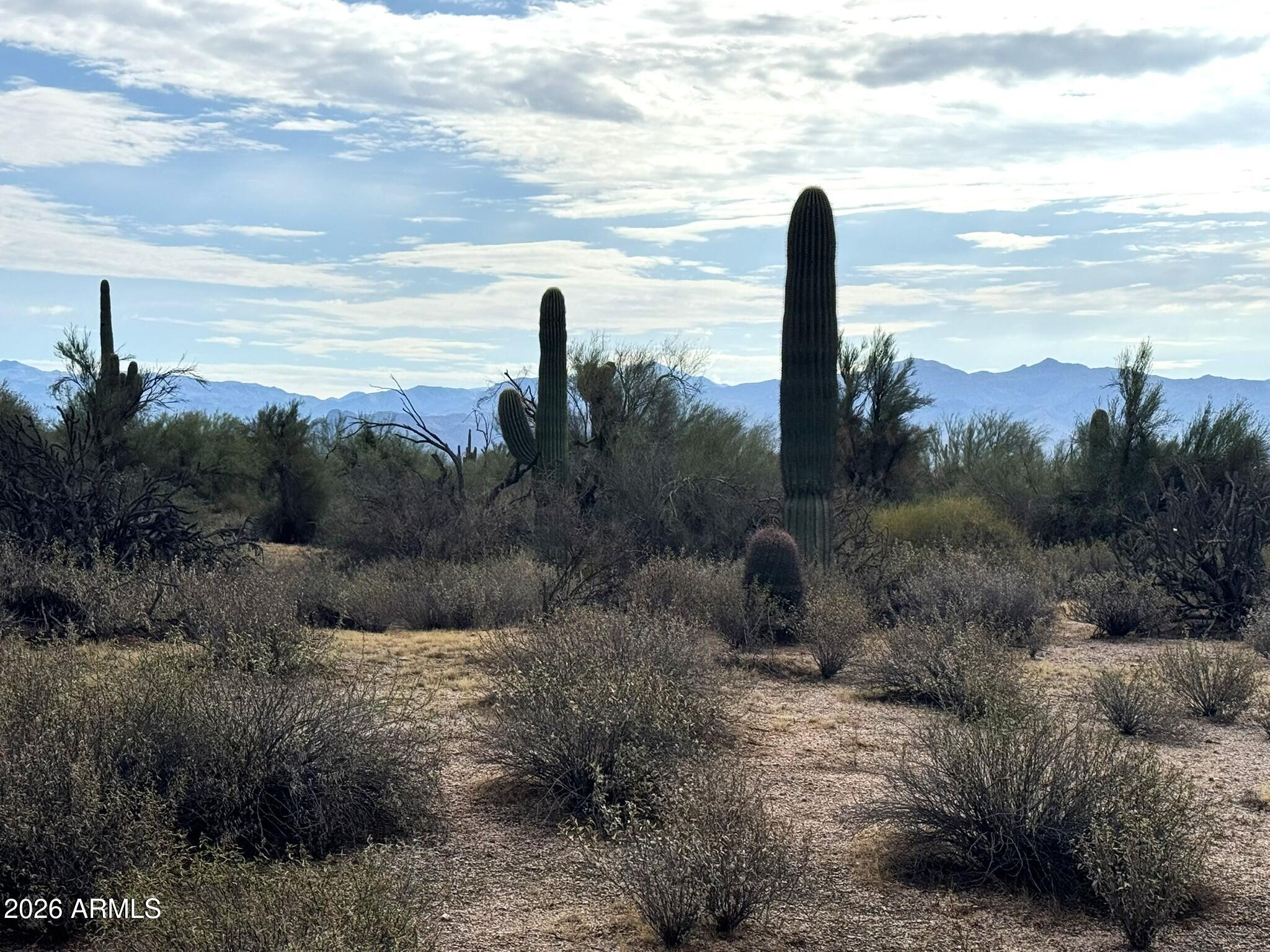 East orientation for this lot giving the most amazing views of the surrounding mountain ranges. This lot comes with 4 lots on the shared well agreement.  Short distance to the entrance of McDowell Mountain Park consisting of approximately 22,000 acres of hiking, biking and horseback riding.  Heavily vegetated lot with saguaros and desert native trees. Only 10 minutes to restaurants, golf courses, Needle Rock Recreation at the Verde River.  Cooler temps, clearer skies and good ol' country living is great for the soul.  If you love the outdoors, you love this area with unlimited motorized riding in the Tonto National Forest. Easy access, fairly level and known to be a good water area.