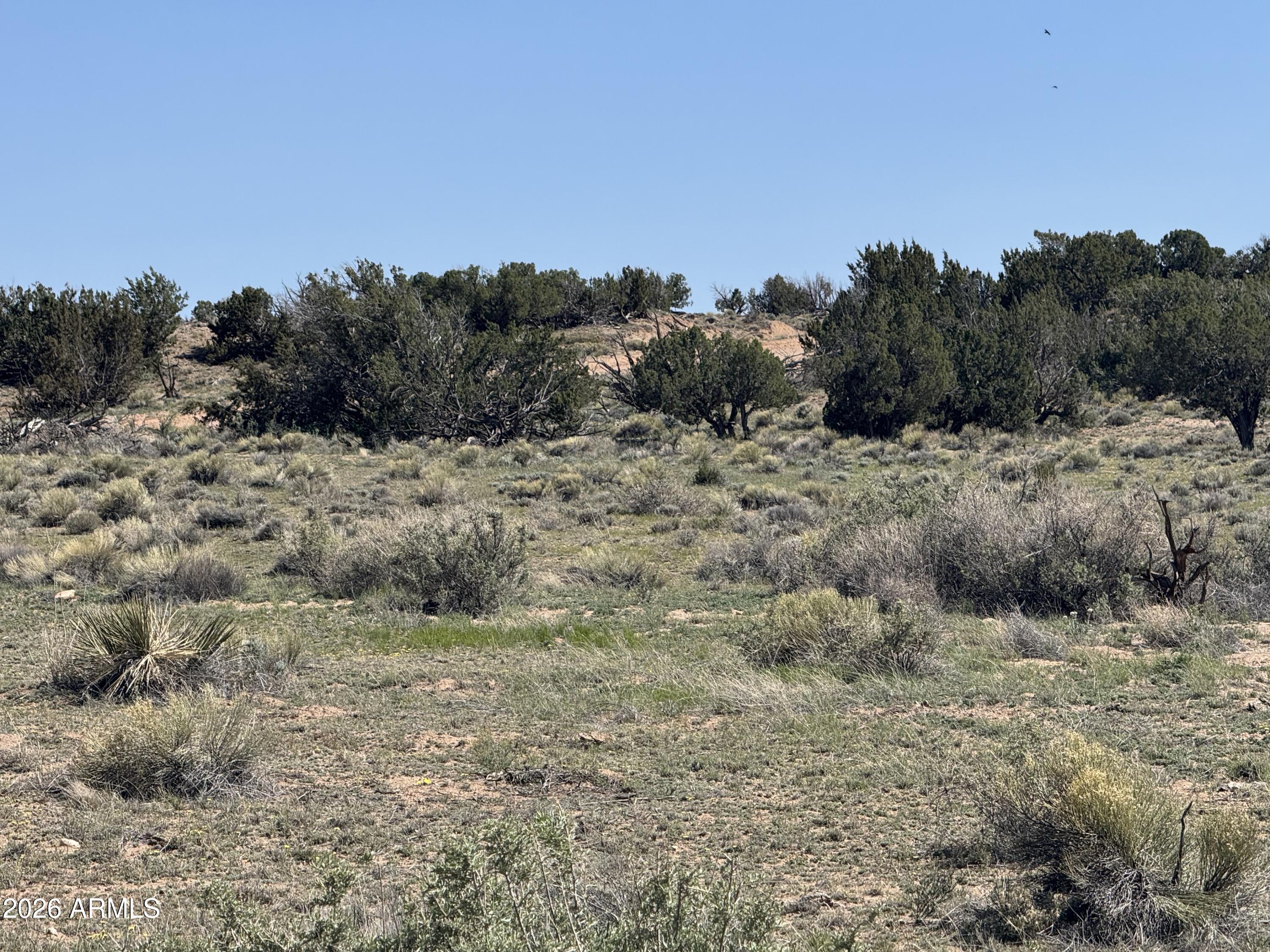 WOODLAND VALLEY RANCH UNIT 4 - Land