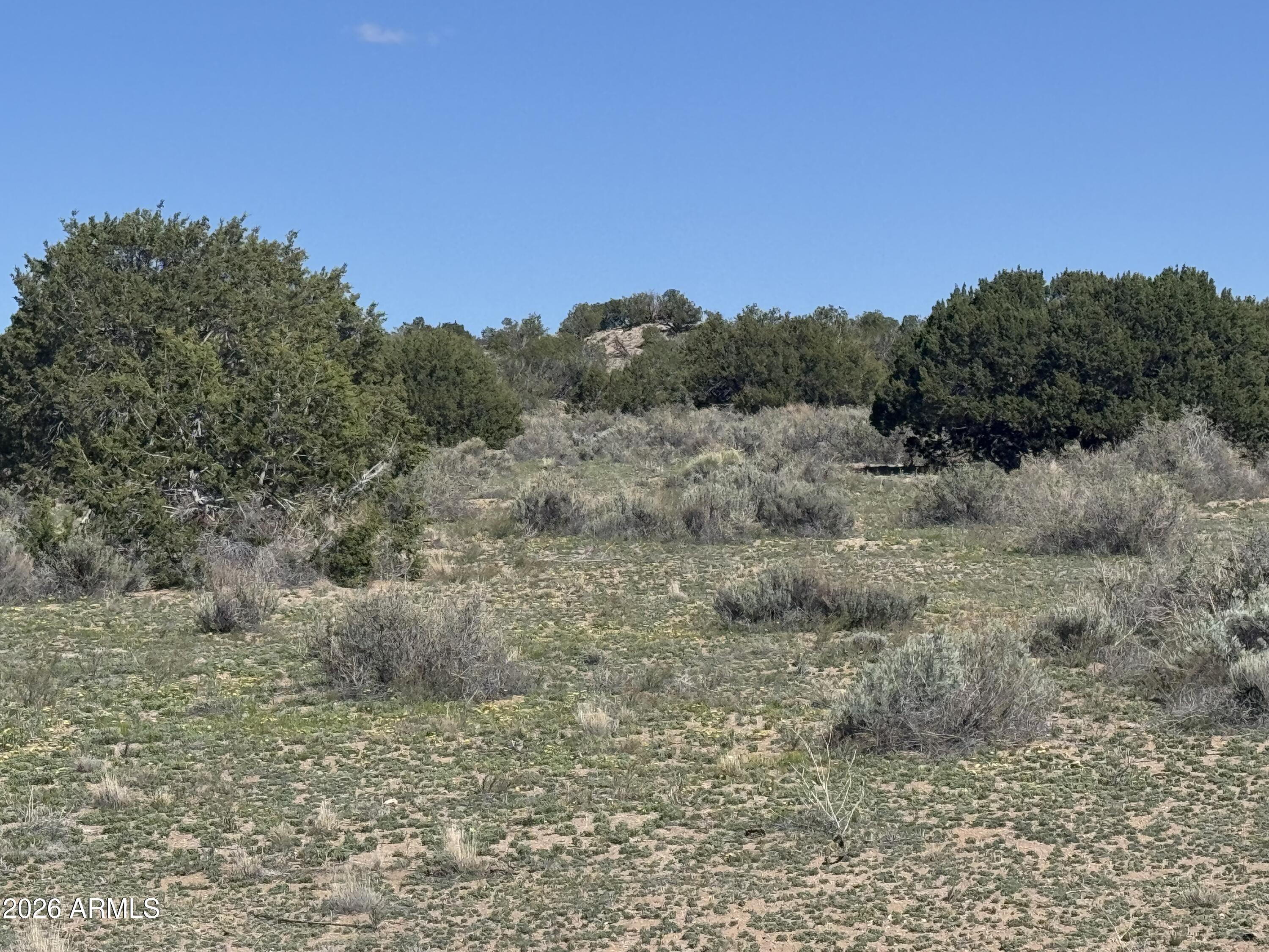 WOODLAND VALLEY RANCH UNIT 4 - Land