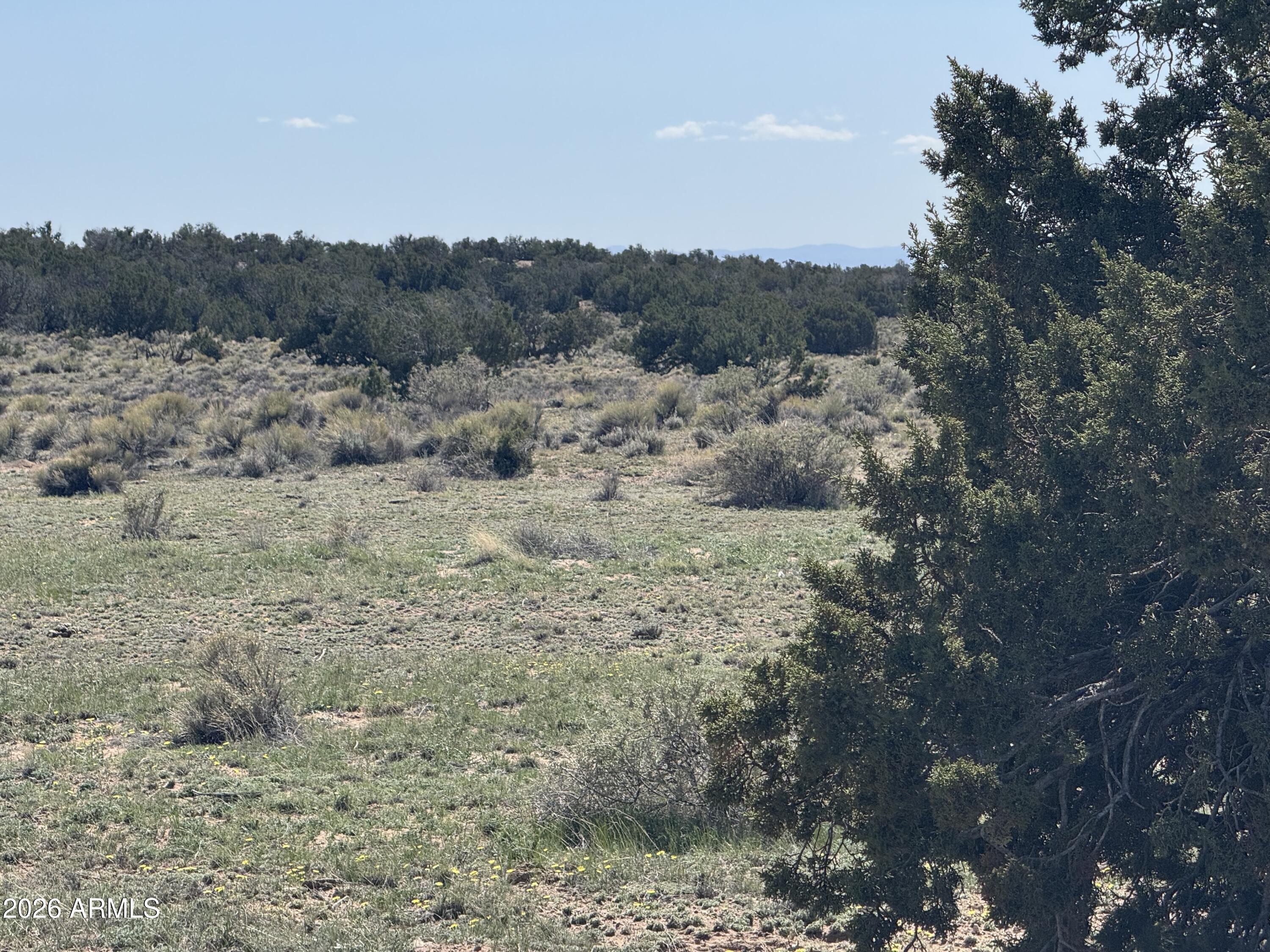 WOODLAND VALLEY RANCH UNIT 4 - Land