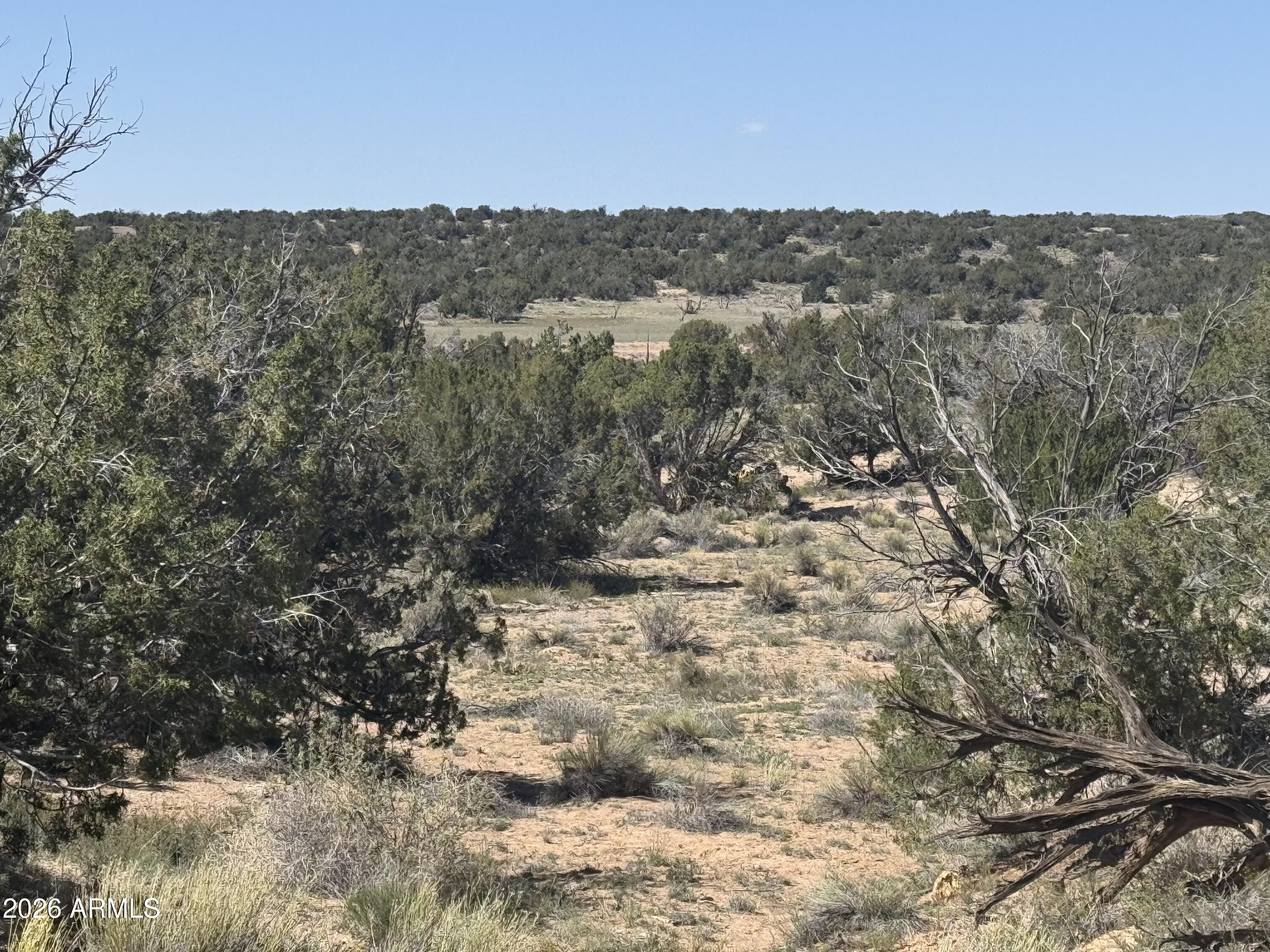 WOODLAND VALLEY RANCH UNIT 4 - Land