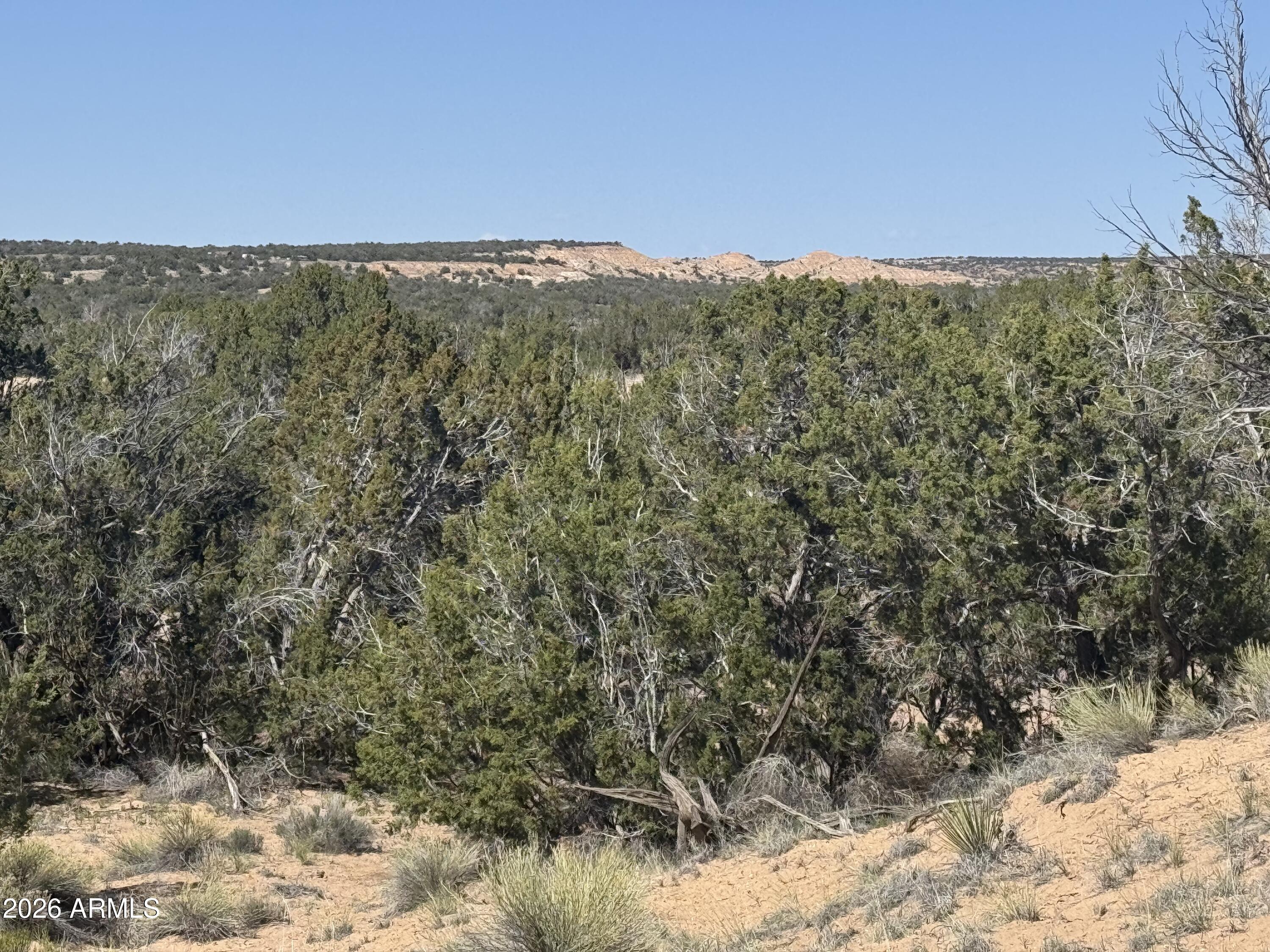WOODLAND VALLEY RANCH UNIT 4 - Land
