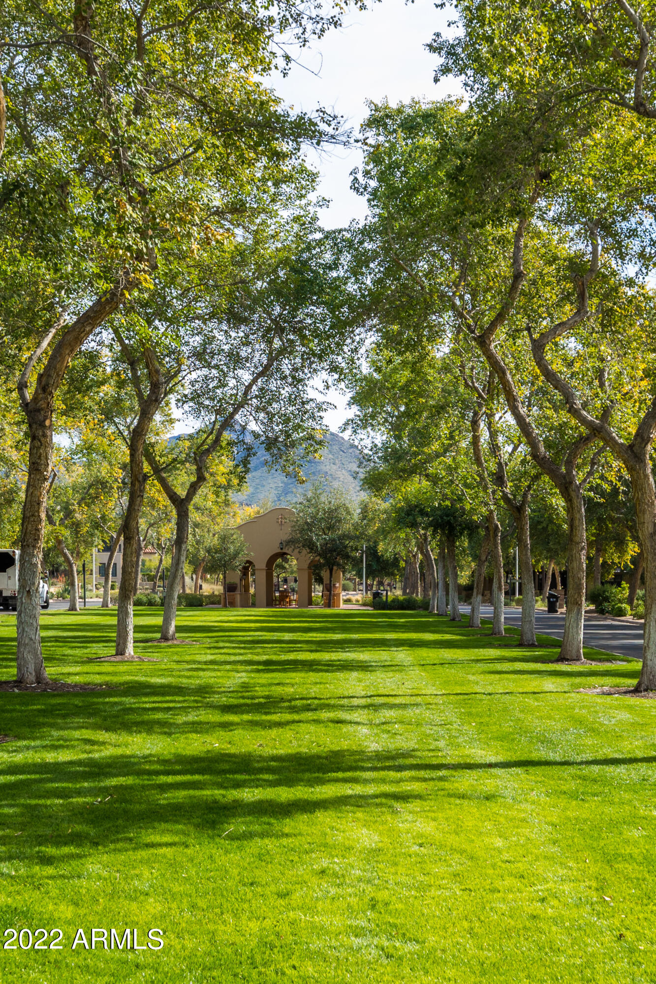 SILVERLEAF - Residential
