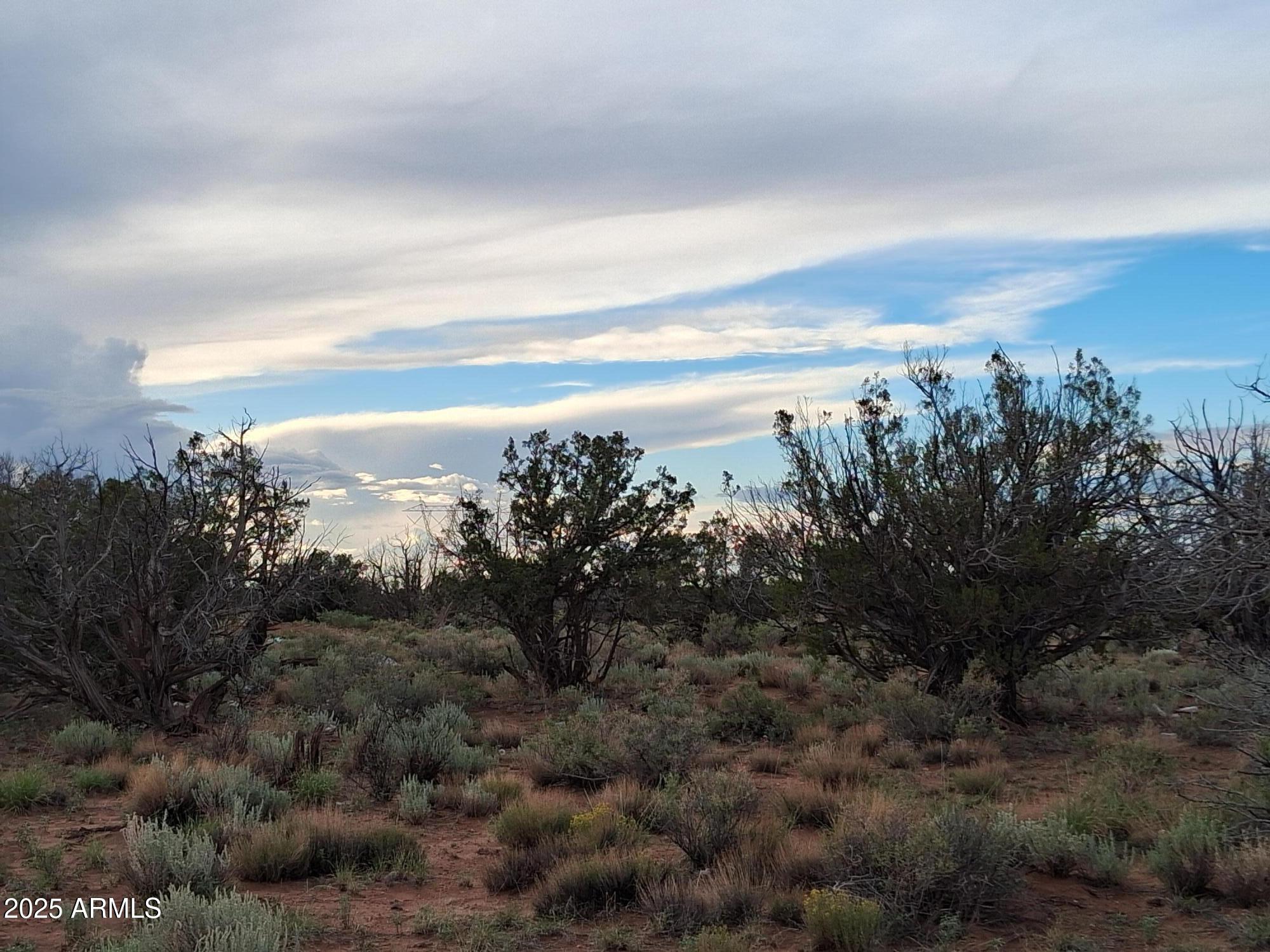 WOODRIDGE RANCH UNIT 8 - Land