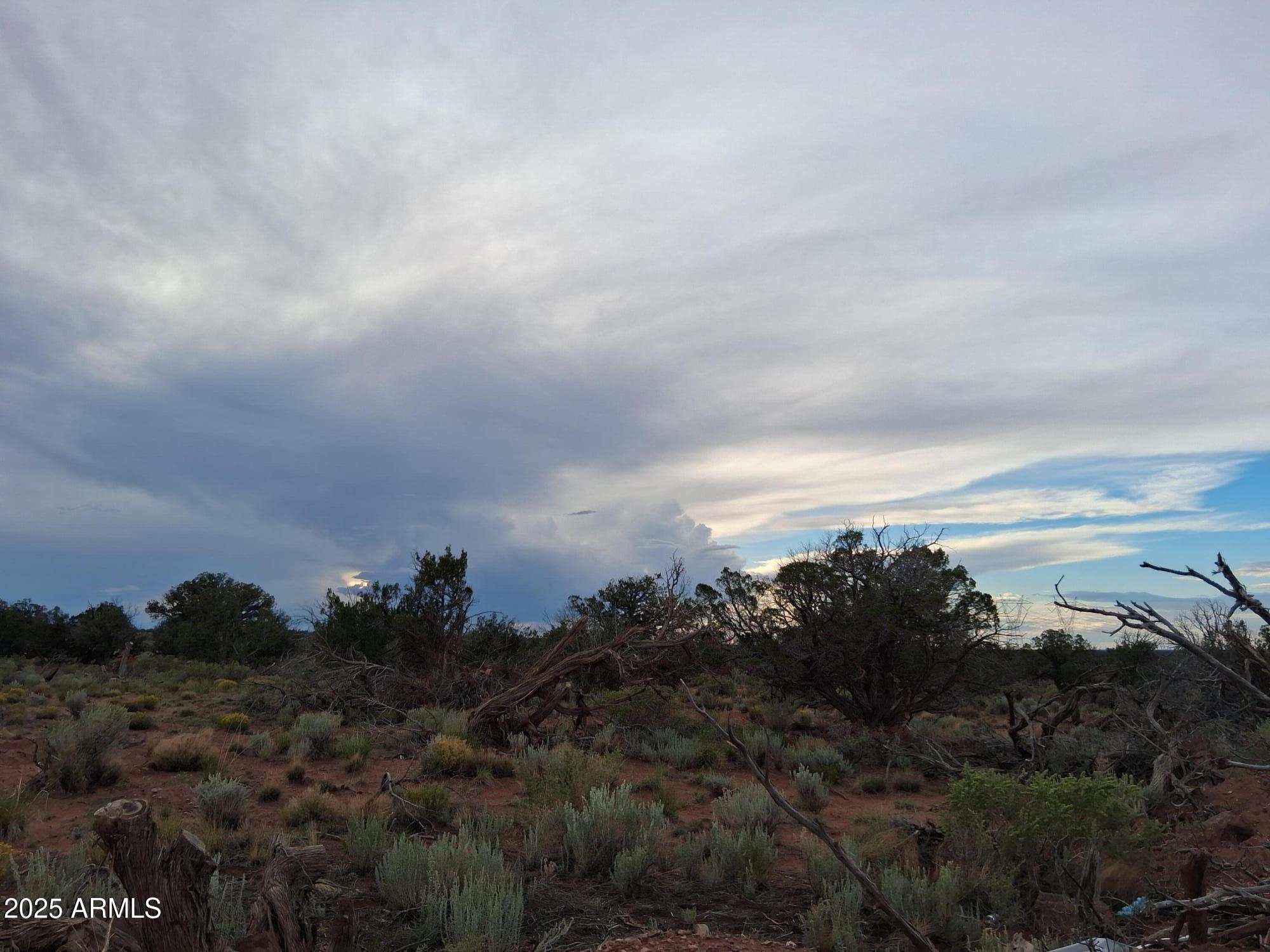 WOODRIDGE RANCH UNIT 8 - Land