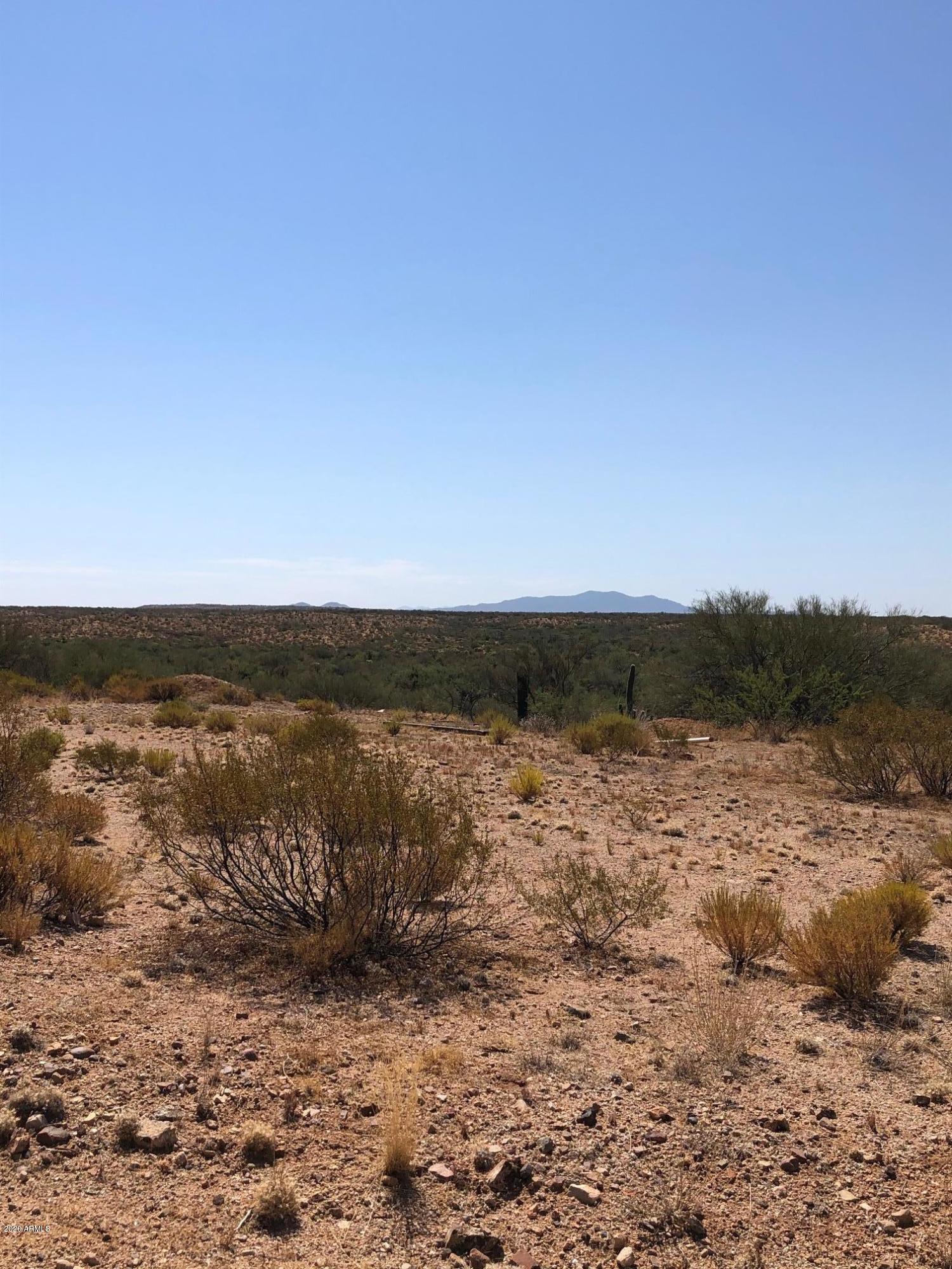 Great opportunity to own land and enjoy life off the grid. Park your RV or build your dream home. Plenty of space for animals. Lot is at 3000 feet elevation with great views of Mt Lemmon to the South. Donnelly Wash runs through a section of the property and is great for Atv's or other toys. North end has been scrapped out for a home or RV. Lot can be subdivided by buyer. Bordered by State /BLM Land on the North. Close to St Anthony Greek Orthodox Monastery. BUYER MUST BE ACCOMPANIED WITH AN AGENT FOR GATE ACCESS. Zillow map is incorrect. This location is 20+ miles from the 79 in Florence and completely off grid.