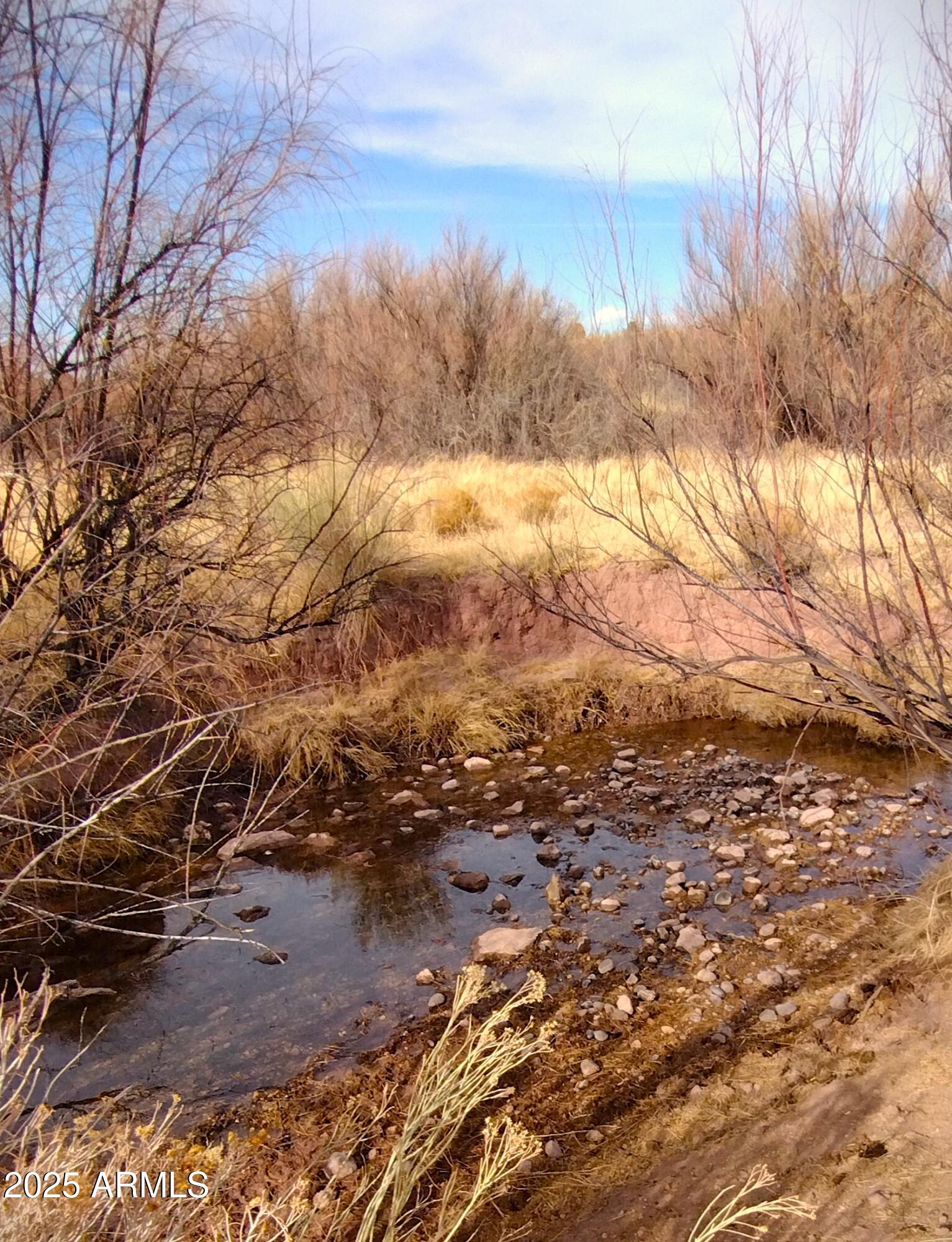 River Springs Ranch Unit 3 - Land