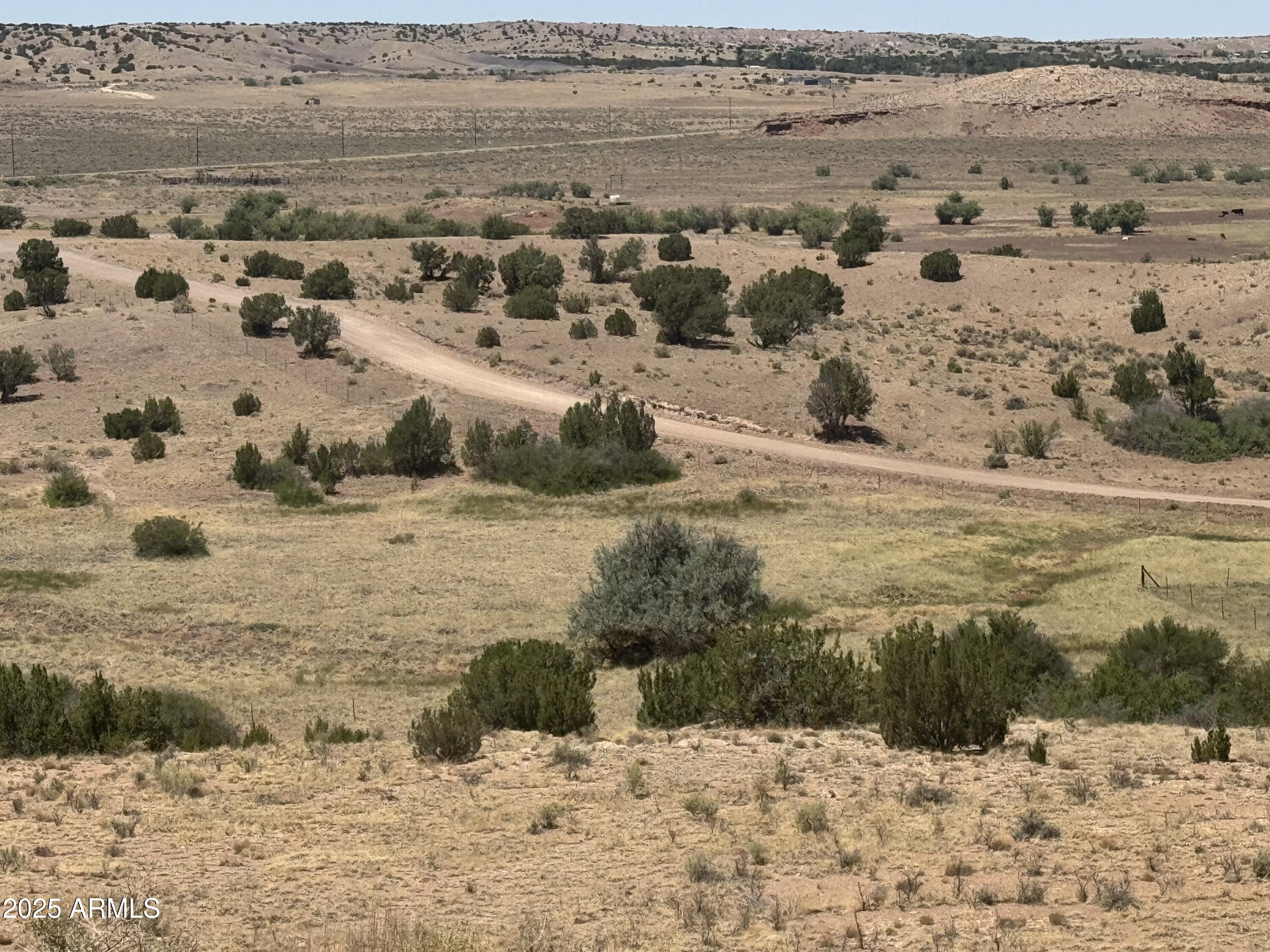 River Springs Ranch Unit 3 - Land