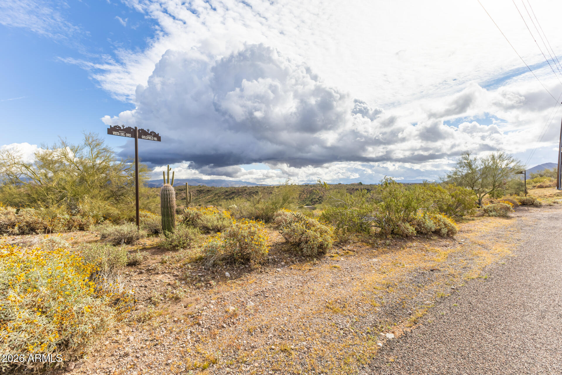 GOLDFIELD PHASE 1 (SURVEY) - Land