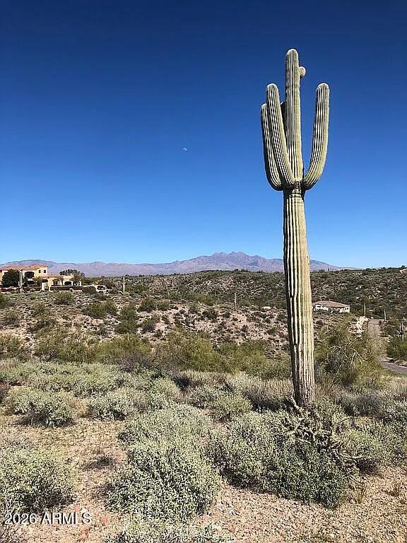 GOLDFIELD PHASE 1 (SURVEY) - Land