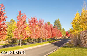 Pine Canyon - Residential