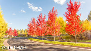 Pine Canyon - Residential