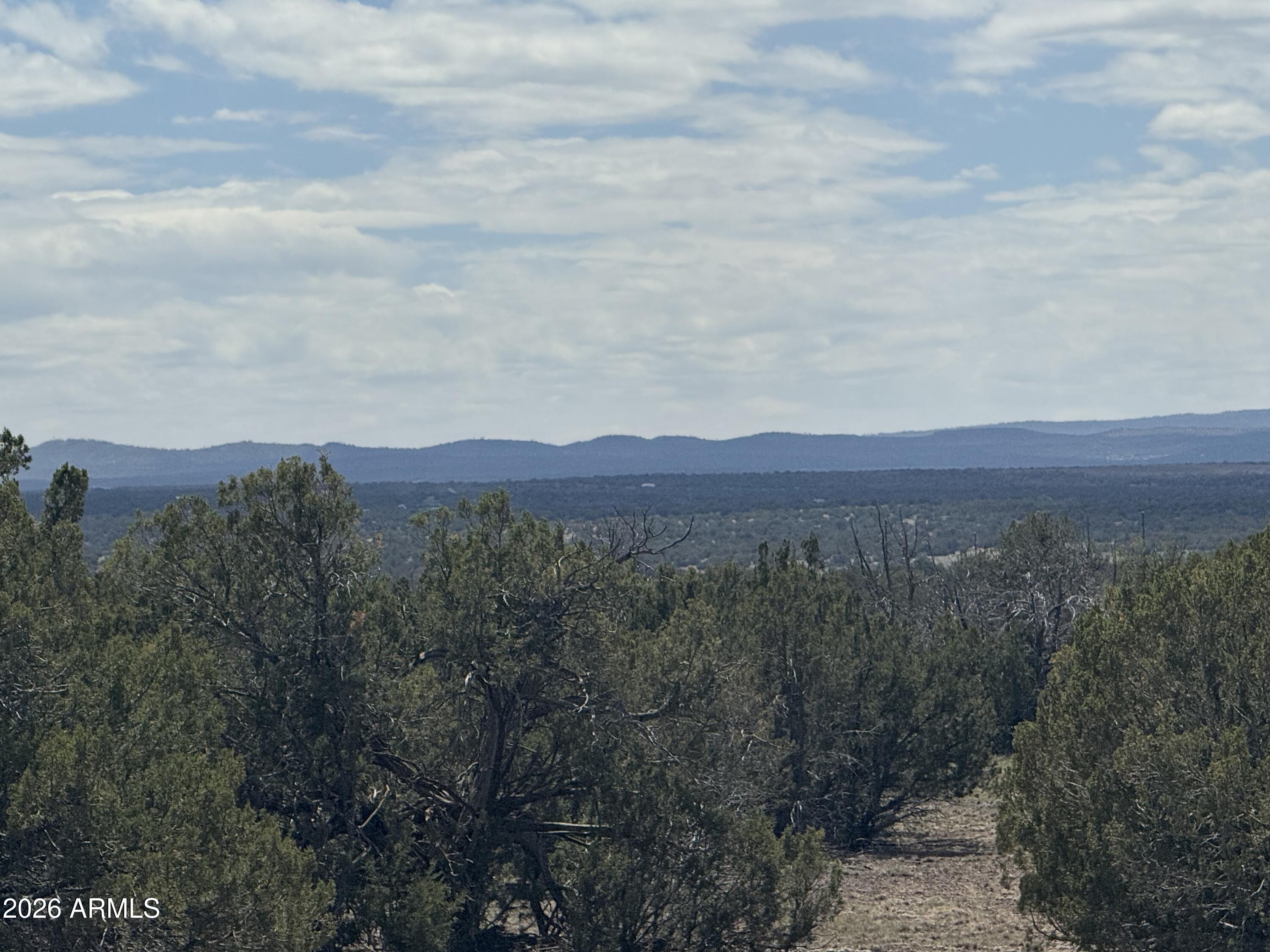 Set across 4.85 acres of whispering Piñon Pine and stately Juniper, this property offers a rare sense of refinement and natural harmony--free from the clutter and neglect found elsewhere, just 1.2 miles off the pavement in a quietly established enclave where neighboring homes reflect true pride of ownership and enduring value; electric power is available at the lot line, offering a seamless path to building without sacrificing the off-grid feel so many seek. Offered at $75,000--deliberately priced below comparable properties in the area for a decisive sale--with 20% down and payments of $573 per month, and an additional 7% discount for cash buyers, this is an uncommon opportunity to secure a foothold in the cool, invigorating air of Arizona's White Mountains; RU-1 zoning allows for a variety of uses beyond traditional residential, adding flexibility and long-term value. With generous buildable terrain suited for a refined cabin or custom residence and close proximity to Birdie Ranch Golf Club, where locals gather for breakfast and a round on the greens, it presents an ideal balance of understated luxury and attainable ownership. No HOA