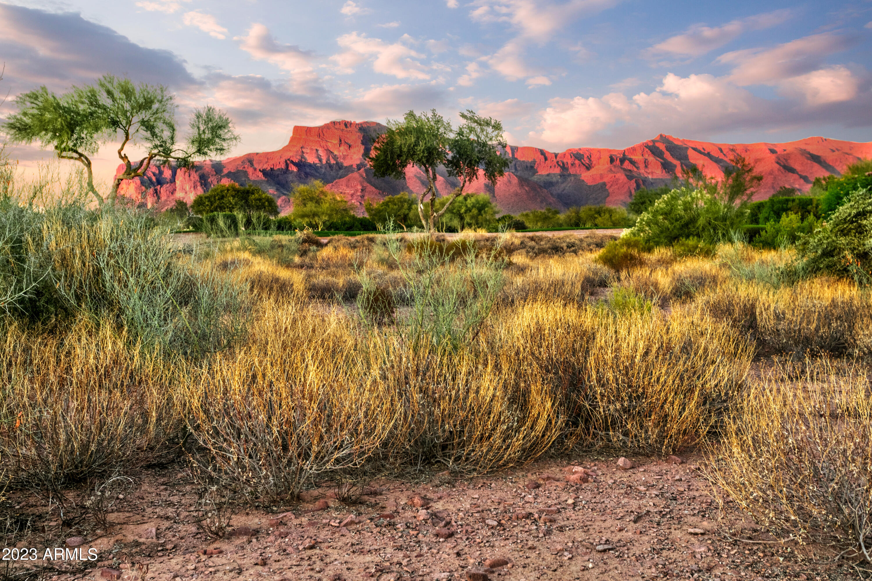LOWEST PRICE LOT IN SUPERSTITION MOUNTAIN! CUSTOM HOMESITE.  NO TIMEFRAME TO BUILD.  PARTIAL PLANS AVAILABLE. TWO JACK NICKLAUS GOLF COURSES. GORGEOUS CLUB HOUSE. NOT A GOLFER?  MANY  OTHER AMENITIES TO ENJOY - PICKLE BALL, TENNIS, BOCCE, HIKING.  COUNTRY CLUB LIVING AT IT'S BEST.  PRIVATE GATED COMMUNITY.  THIRTY FIVE MINUTES TO SKY HARBOR AND 20 MINUTES TO MESA GATEWAY AIRPORTS. PLANS AVAILABLE FOR AN ADDITIONAL COST. BUYER AND/OR BUYER'S AGENT TO VERIFY ALL PERTINENT INFORMATION.  CLUB AMENITIES UNDER A SEPARATE AGREEMENT. PLAT PLANS ARE INCLUDED IN THE DOCUMENT SECTION.