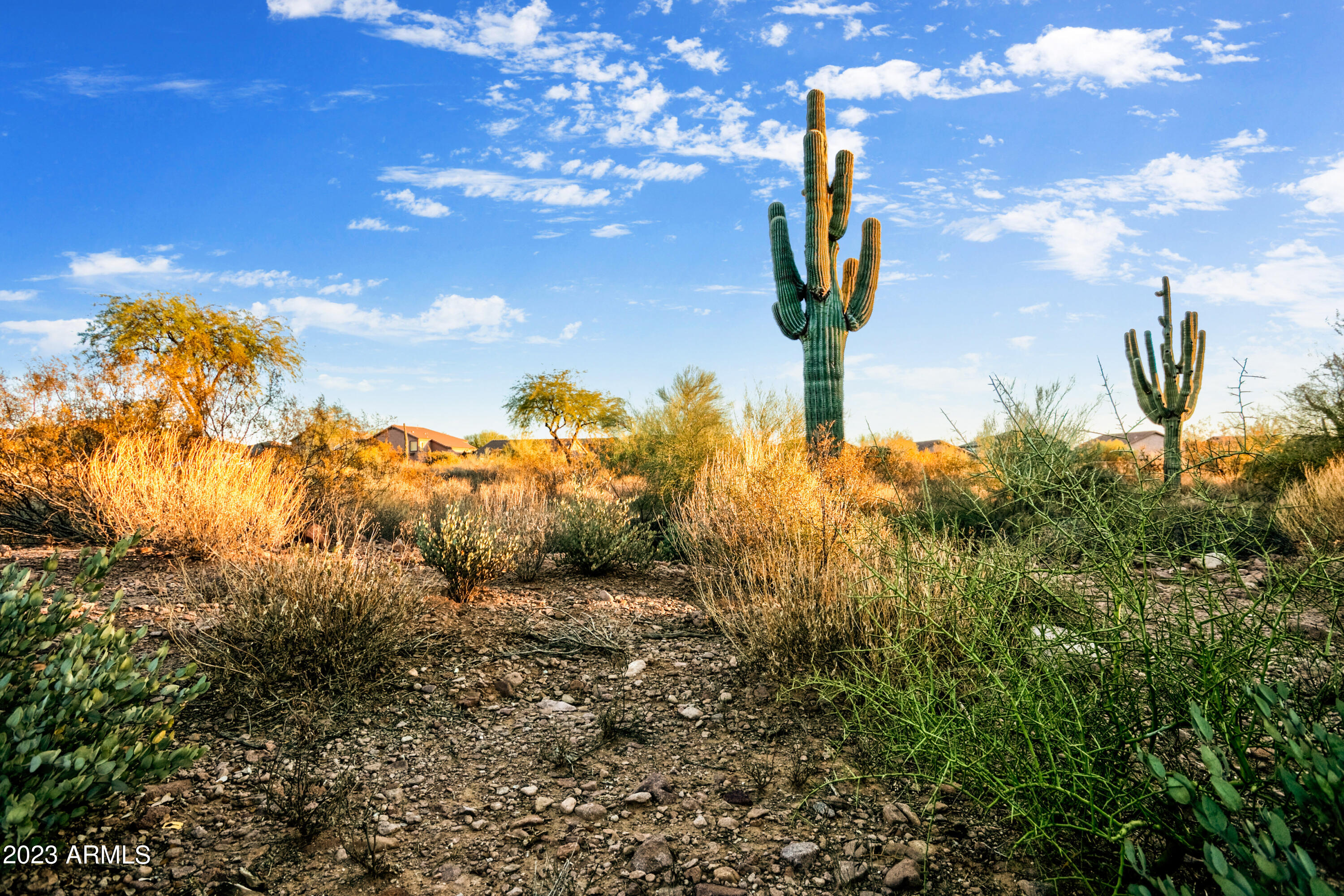 SUPERSTITION MOUNTAIN - Land