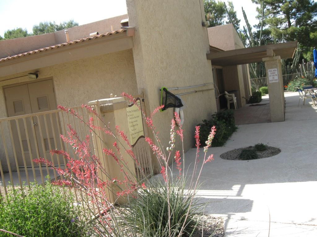 Colony - Residential Lease