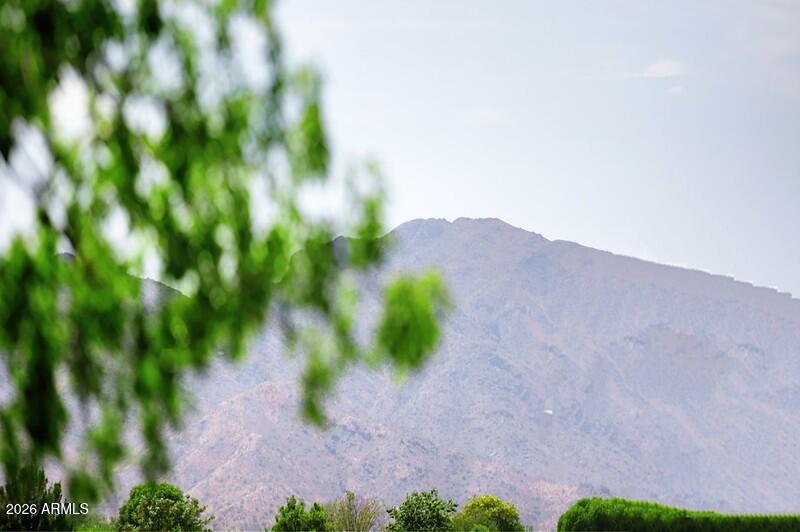 Romola of Arizona - Residential