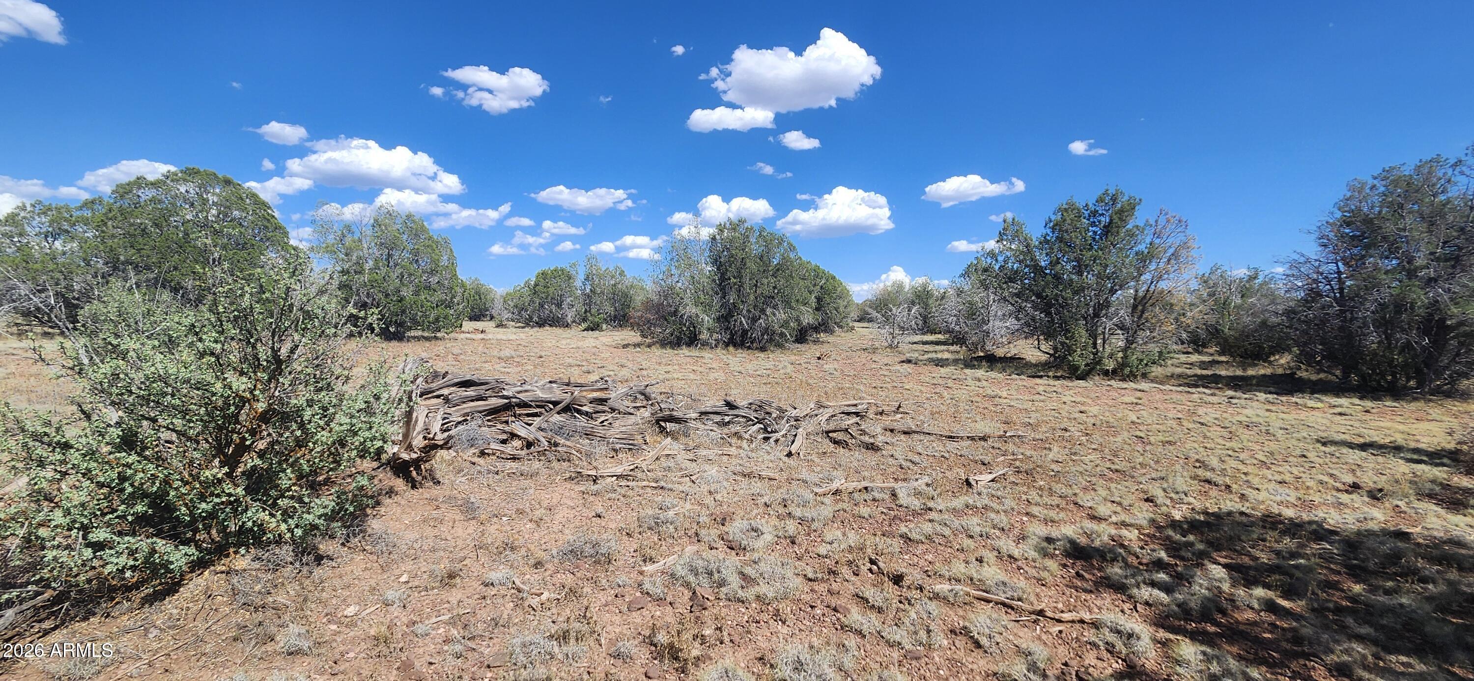 Seller Financing Available! Own 87.36 acres in Jack Rabbit Run - create your ideal Northern Arizona retreat.  Enjoy wide-open spaces, and breathtaking mountain views. Ideal for a private residence, recreational getaway, ranch, or investment. tanks, and partial fencing along the north property line and full fencing to the east and south boundaries.
