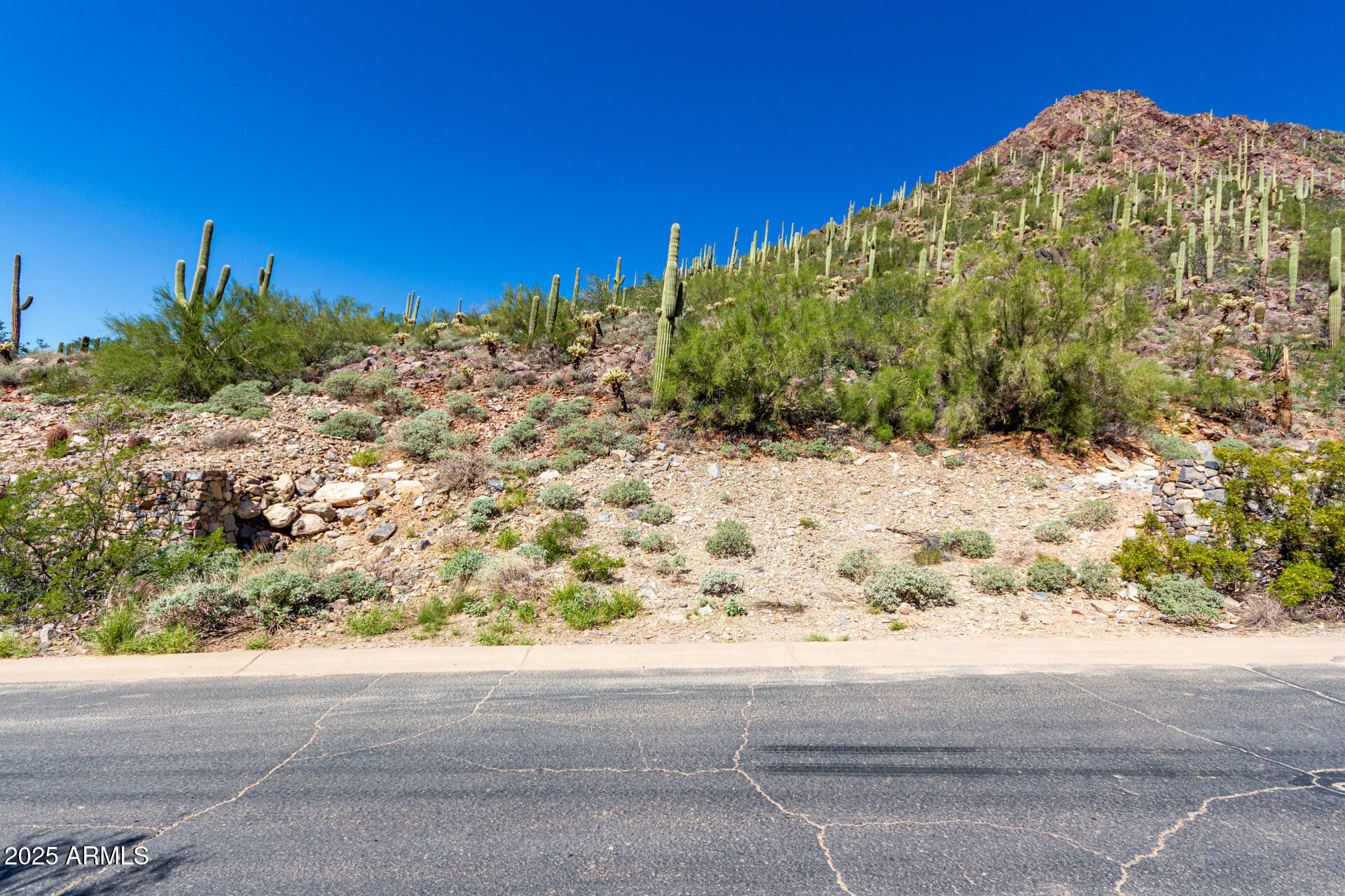 Silverleaf - Land