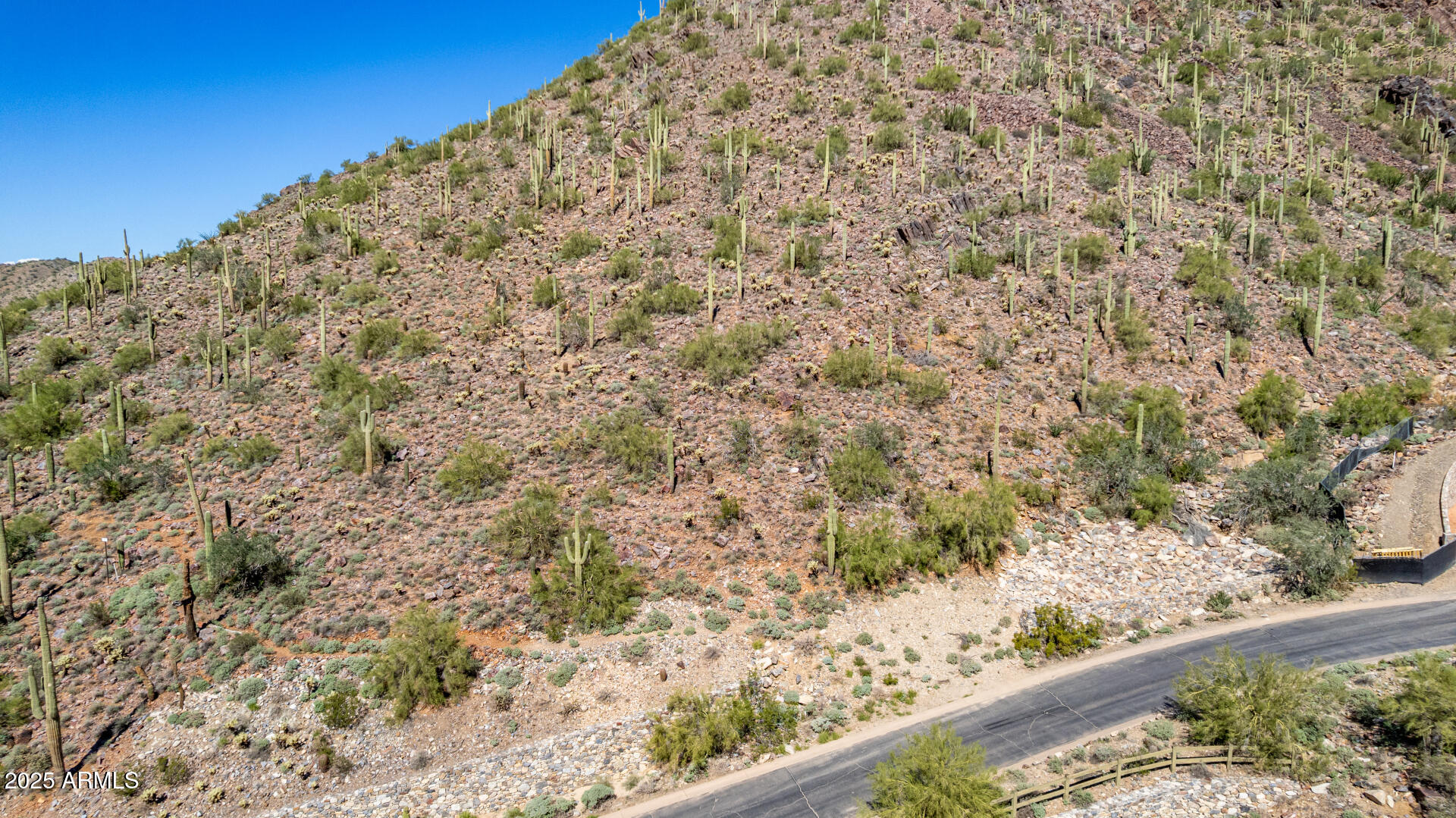 Silverleaf - Land