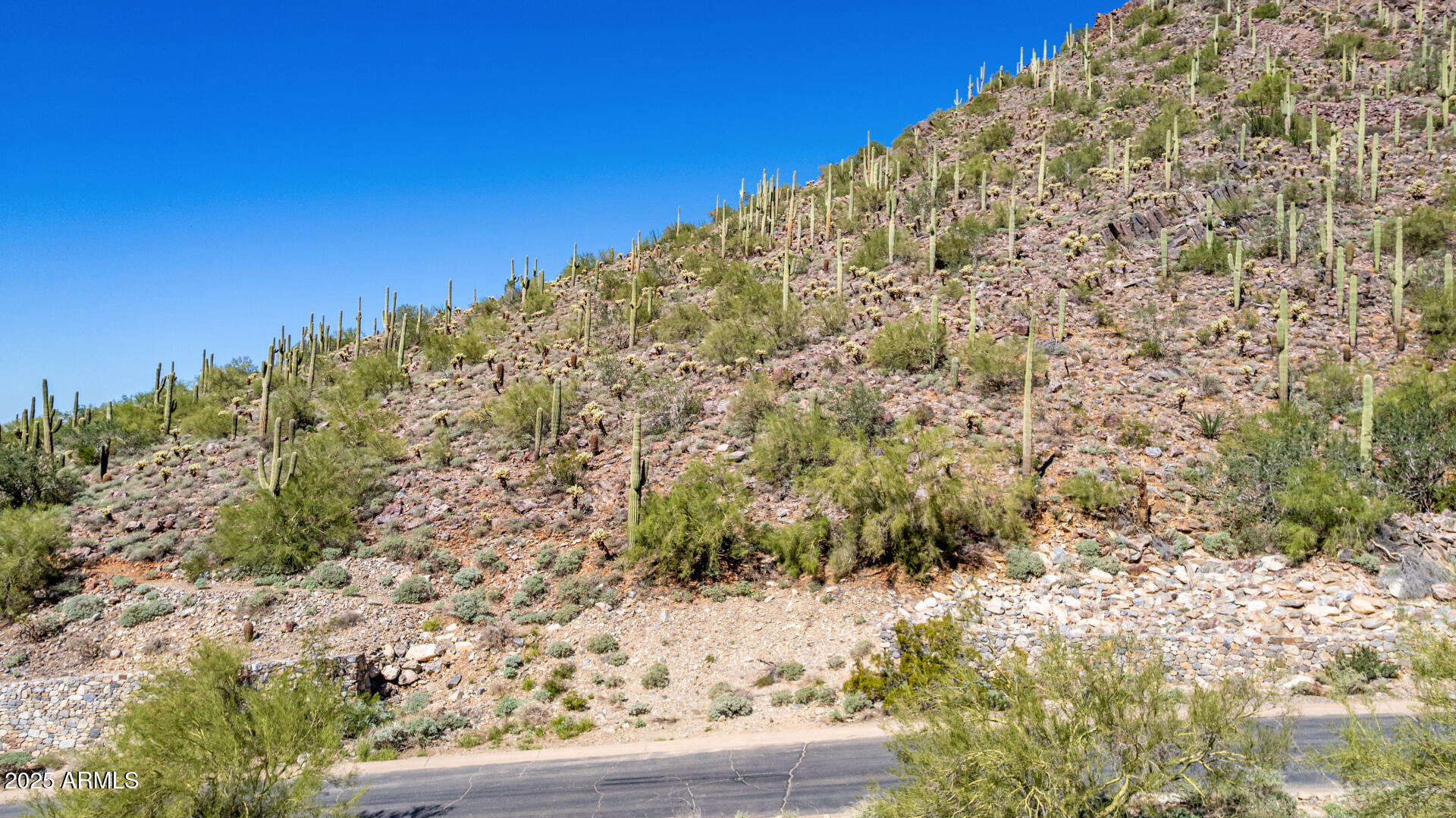 Silverleaf - Land