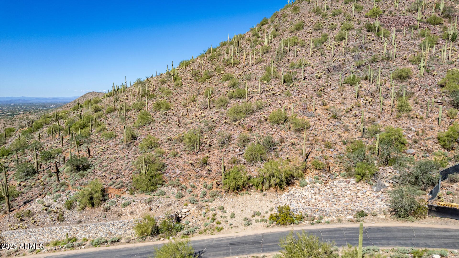 Silverleaf - Land