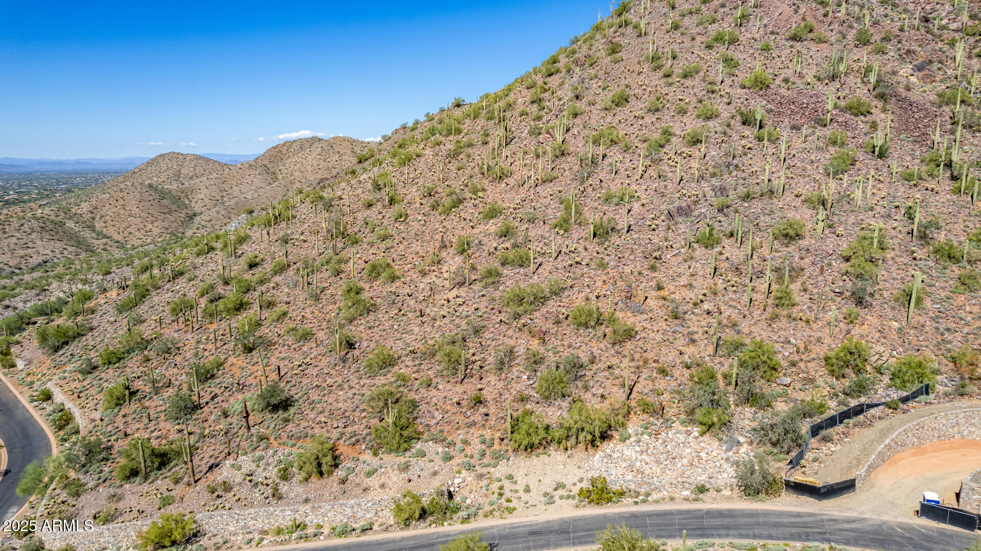 Silverleaf - Land