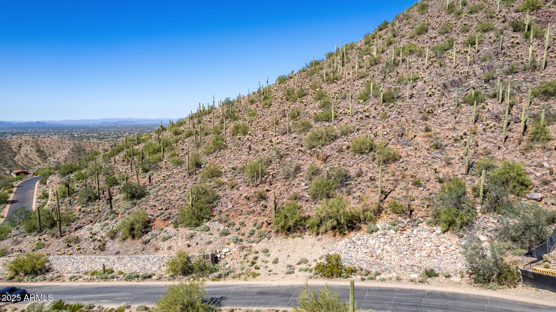 Silverleaf - Land