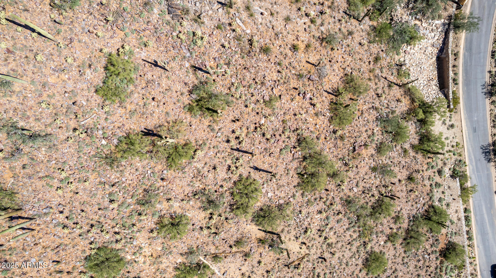 Silverleaf - Land