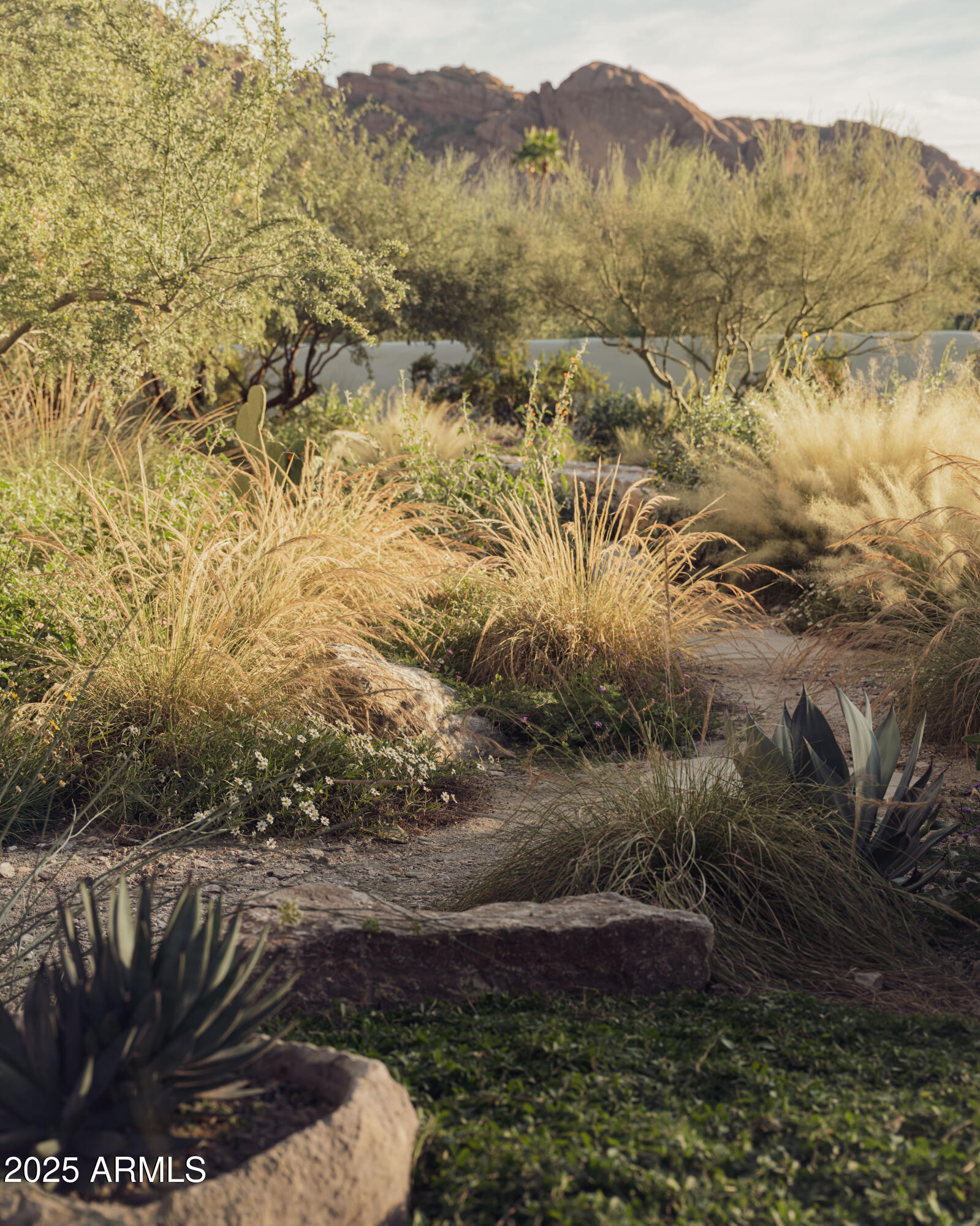 CAMELHEAD ESTATES - Residential