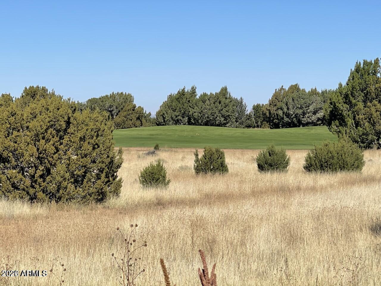 Eaglecrest - Land