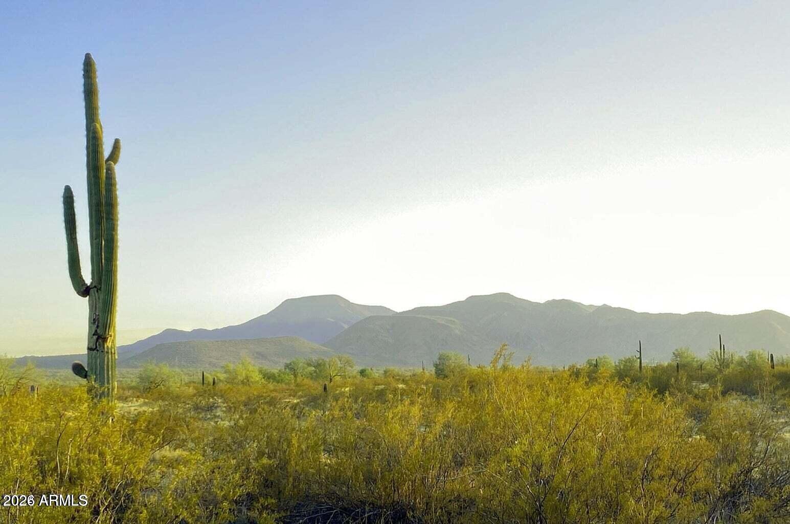 Zoned GR, this versatile desert property offers the freedom to create the lifestyle you want--whether that means a manufactured home, horses, or room to spread out. Enjoy tons of solitude, breathtaking starry night skies, and a beautiful natural landscape filled with towering saguaros and mesquite trees. Conveniently located just off Hwy 84 and only 15 minutes from everyday amenities. Owner will carry