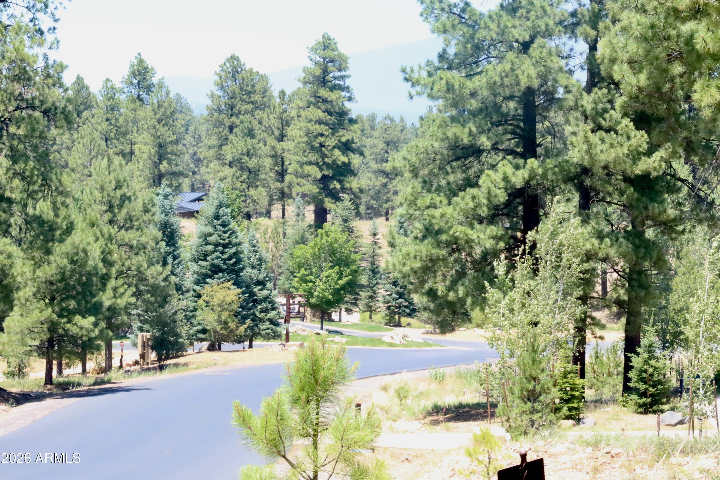 Pine Canyon - Land