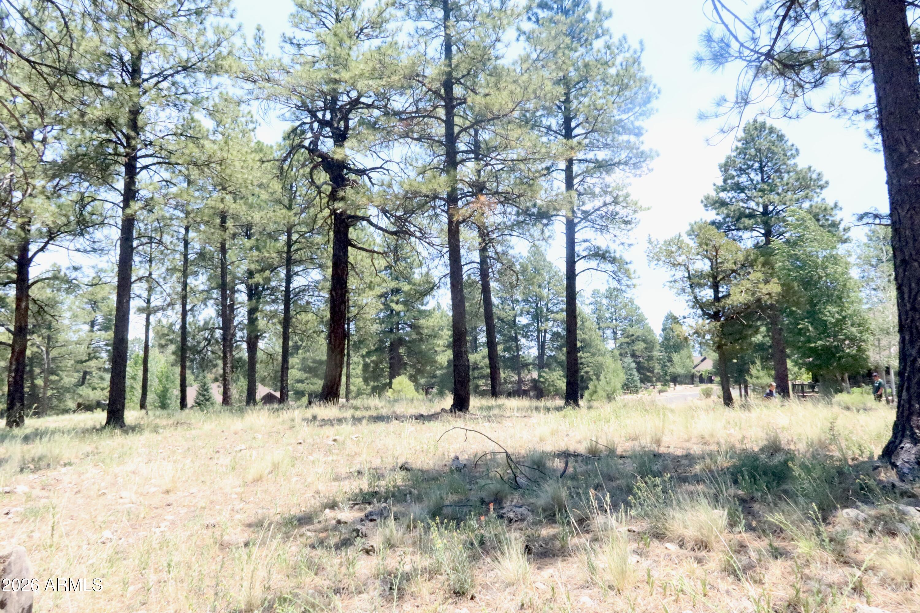 Pine Canyon - Land