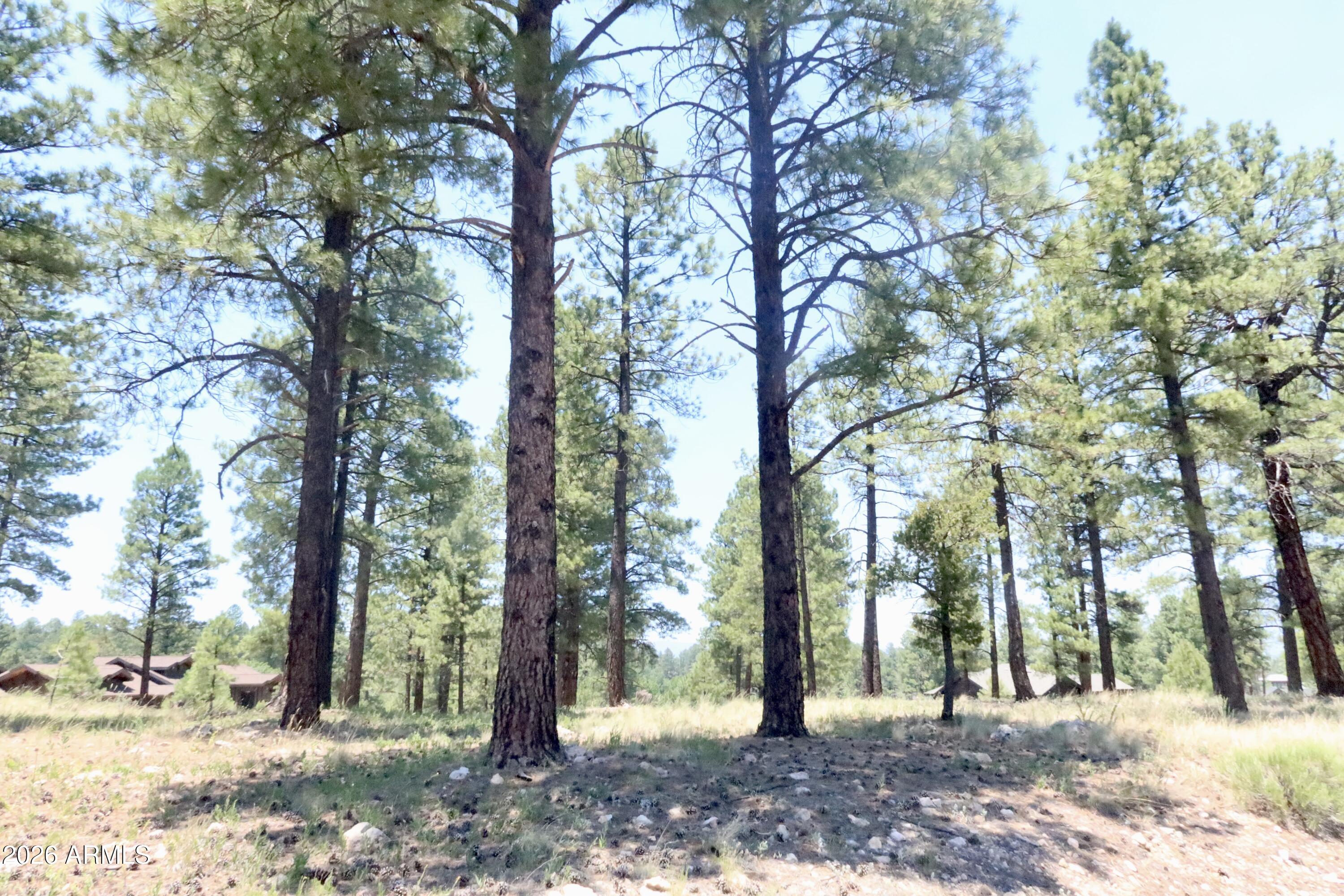 Pine Canyon - Land