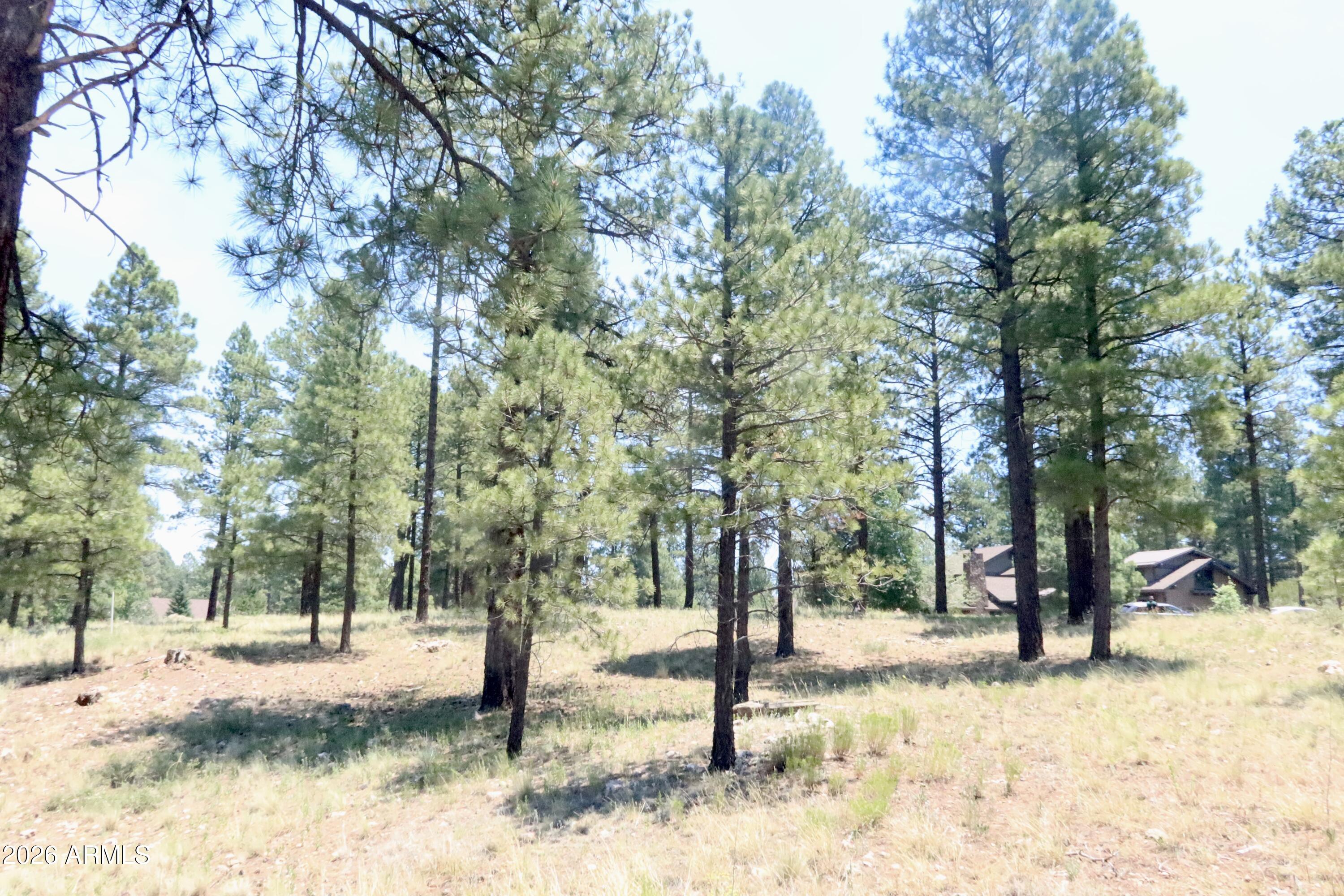 Pine Canyon - Land